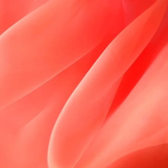 CORAL ORGANZA