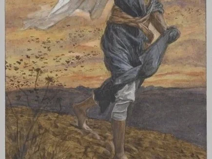 The Seed Sown for Harvest&nbsp;