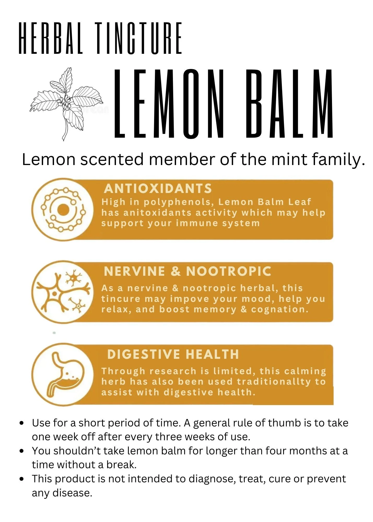 Lemon+Balm+Info+Card.jpg