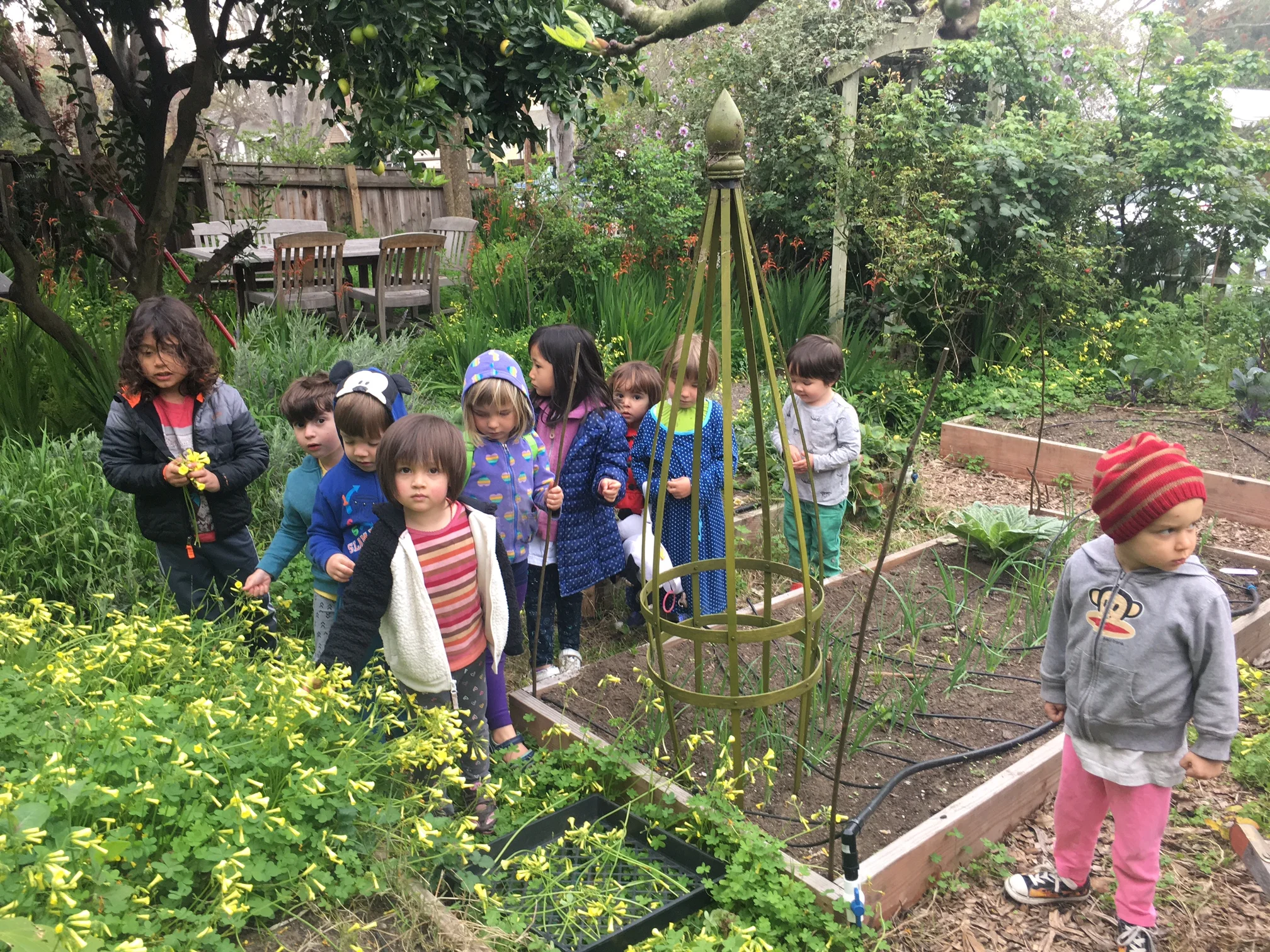 Nichole  Talbott - NaturalDied_Oxsalis.jpeg