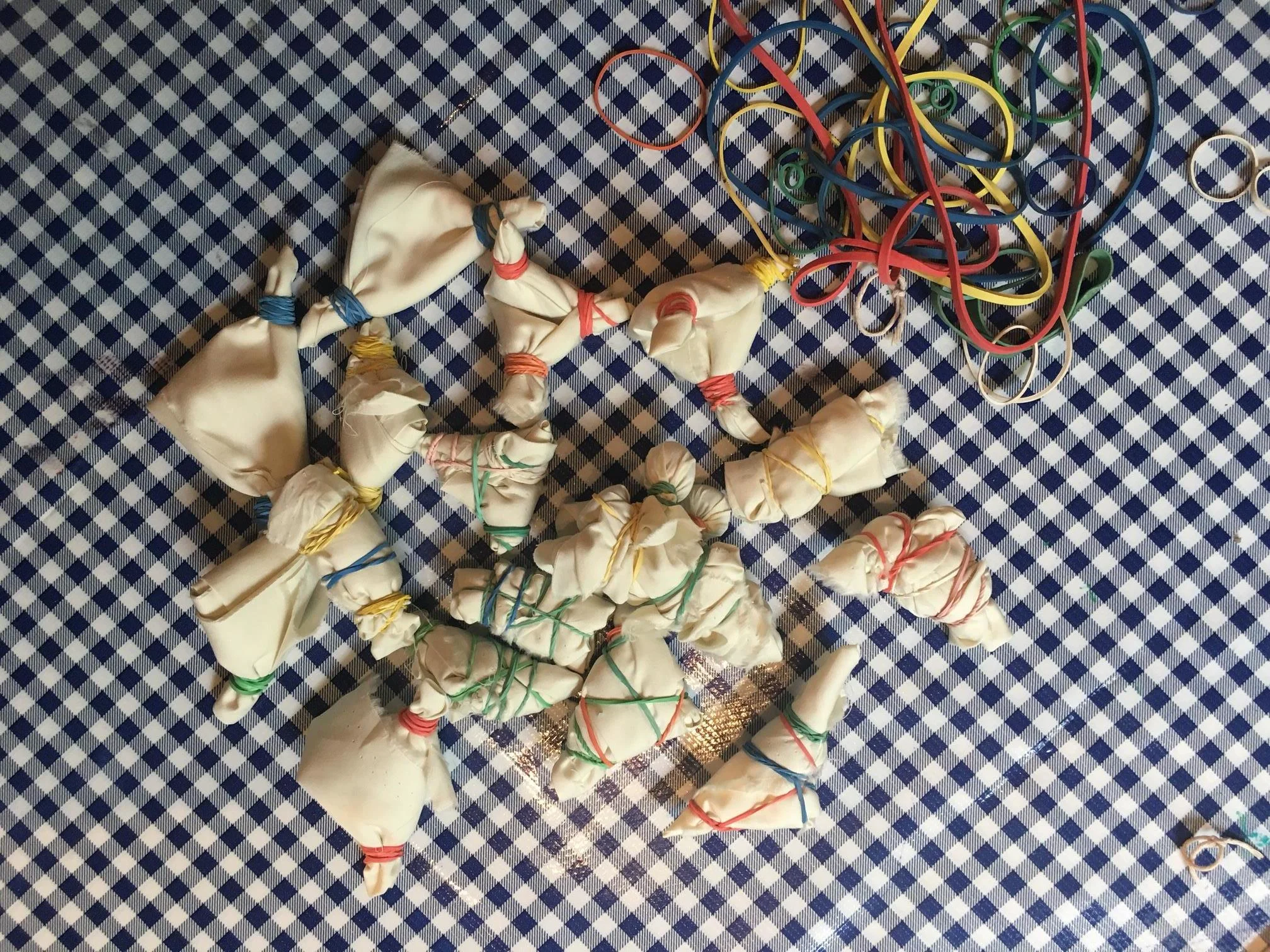 Nichole  Talbott - NaturalDied_Oxsalis3.jpeg