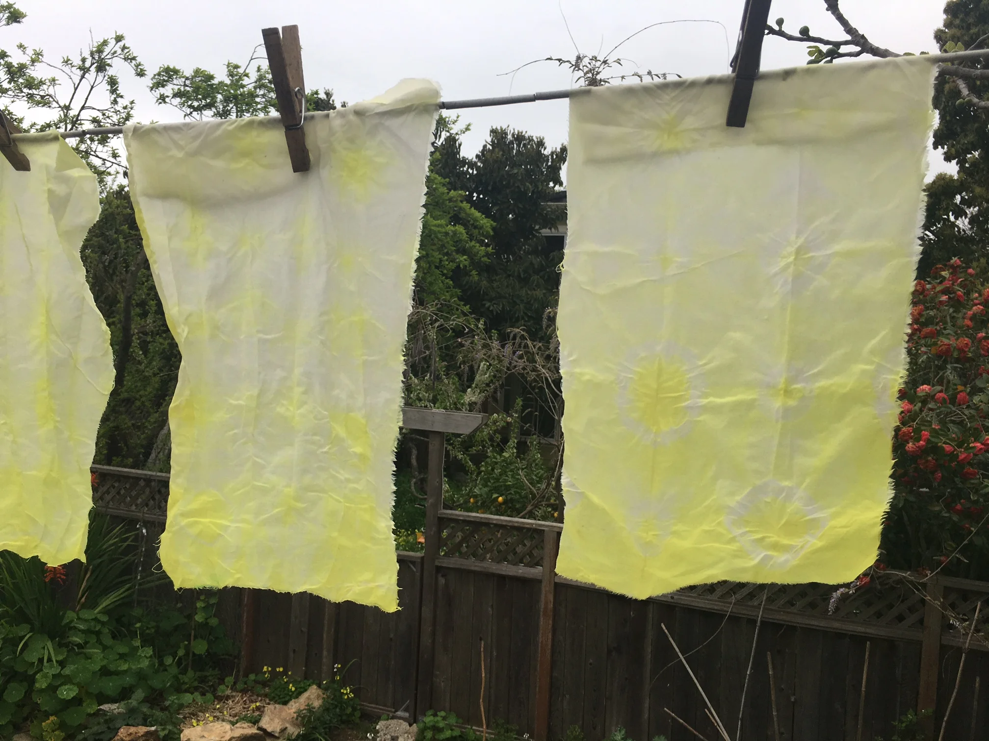 Nichole  Talbott - NaturalDied_Oxsalis5.jpeg