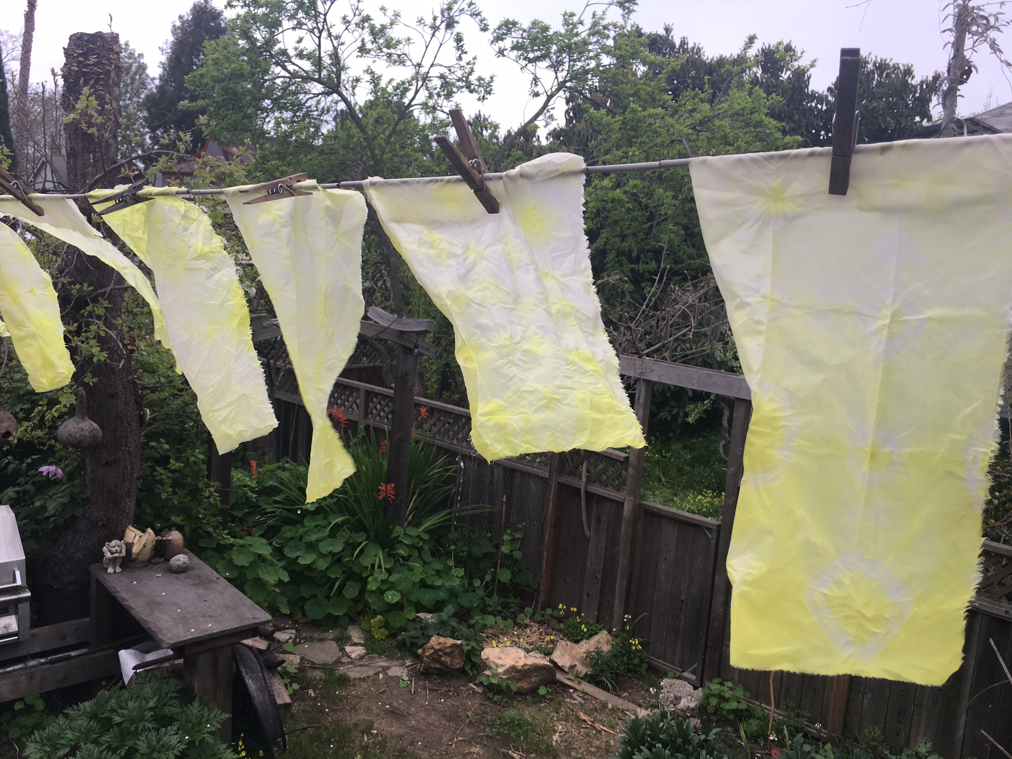 Nichole  Talbott - NaturalDied_Oxsalis6.jpeg