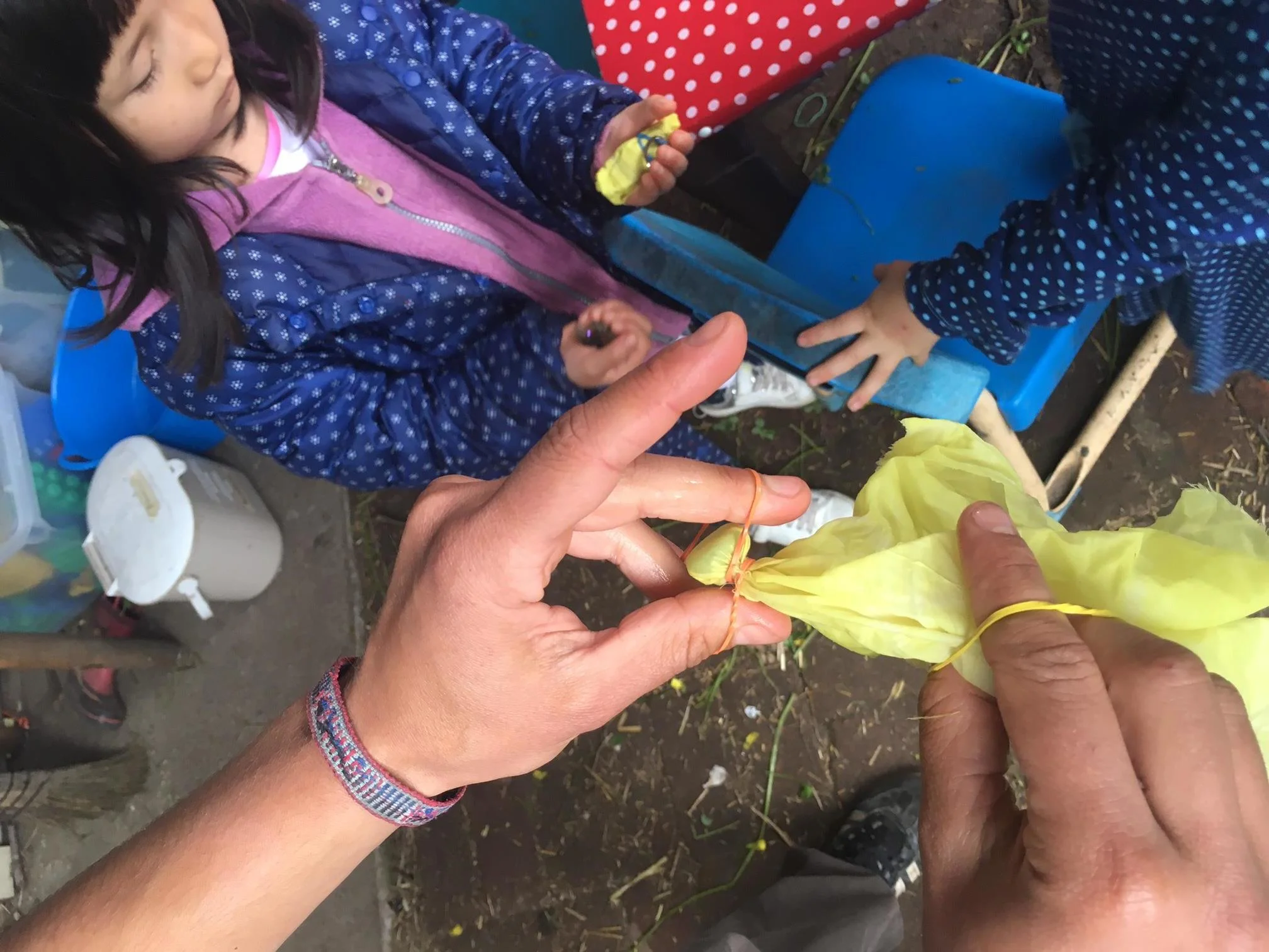 Nichole  Talbott - NaturalDied_Oxsalis8.jpeg