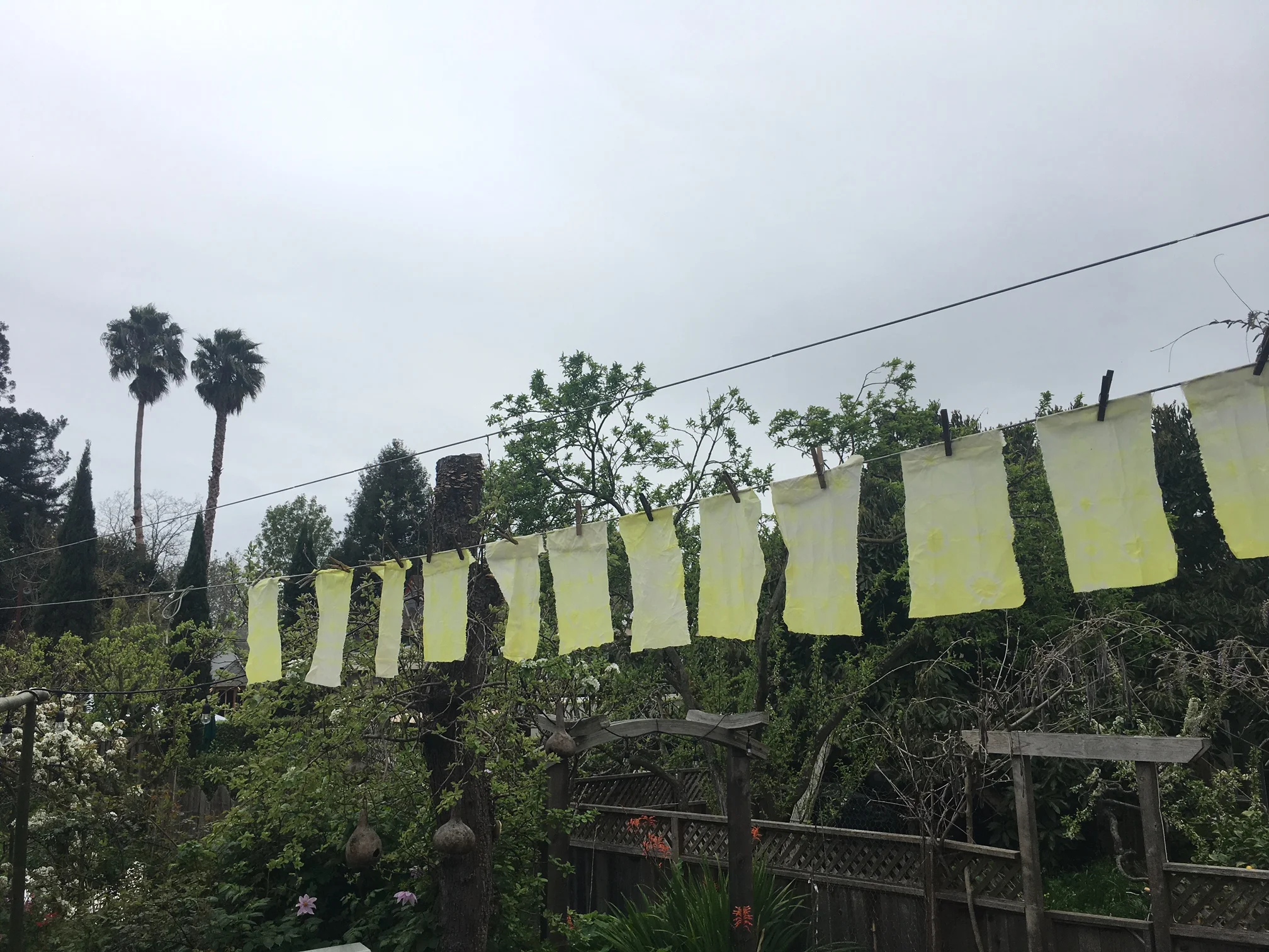 Nichole  Talbott - NaturalDied_Oxsalis7.jpeg