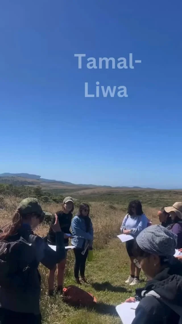 3 WEEKENDS IN JULY
we gathered in community with Artists @jackiefawn @slateandrust and @ladyreniart.
We identified the native plants of the region. We discussing invasive plants that now cover much of Tamal-Liwa, as we walked down to Felix Cove, to