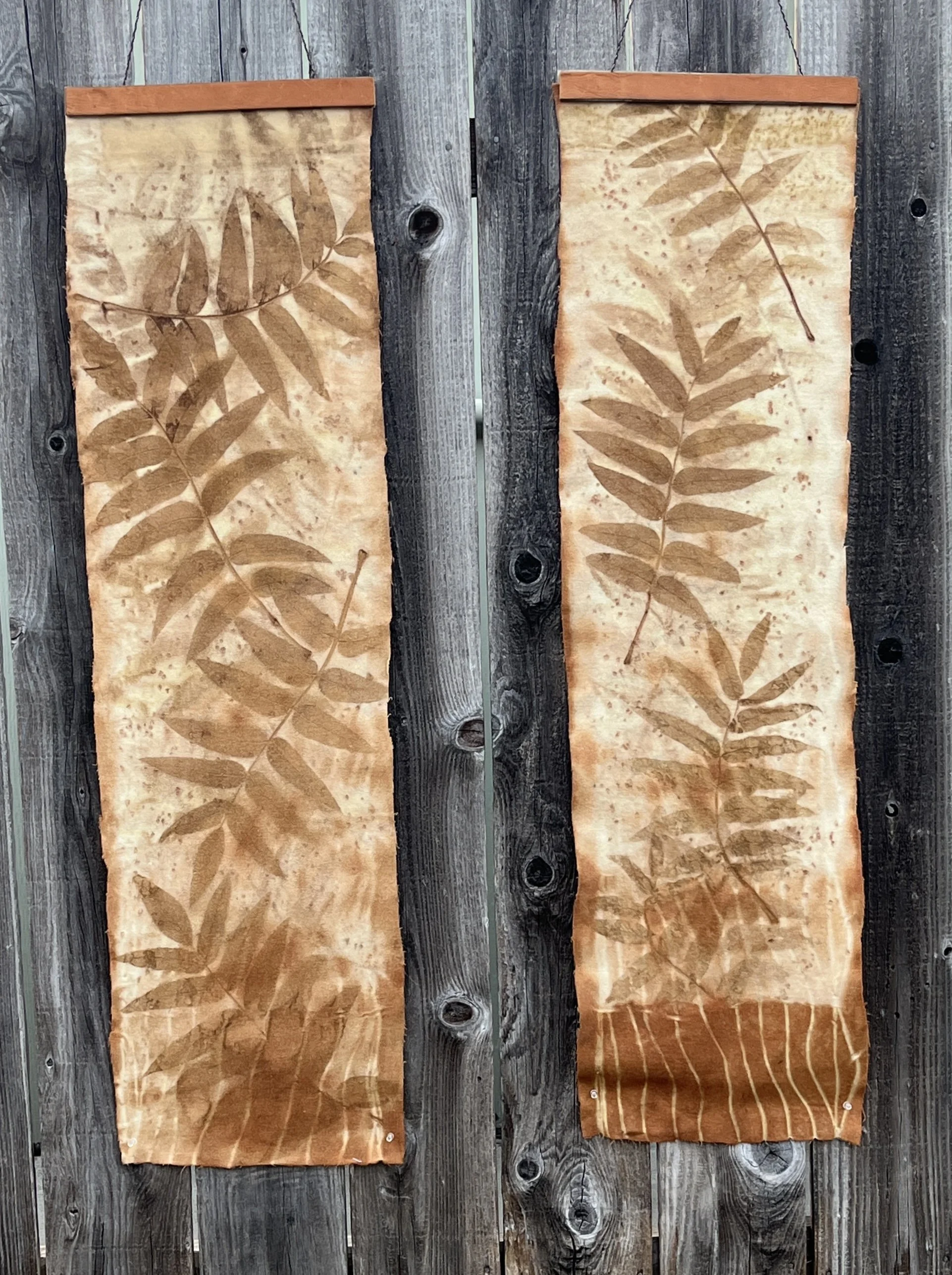Black Walnut _Panels EcoPrint.jpg