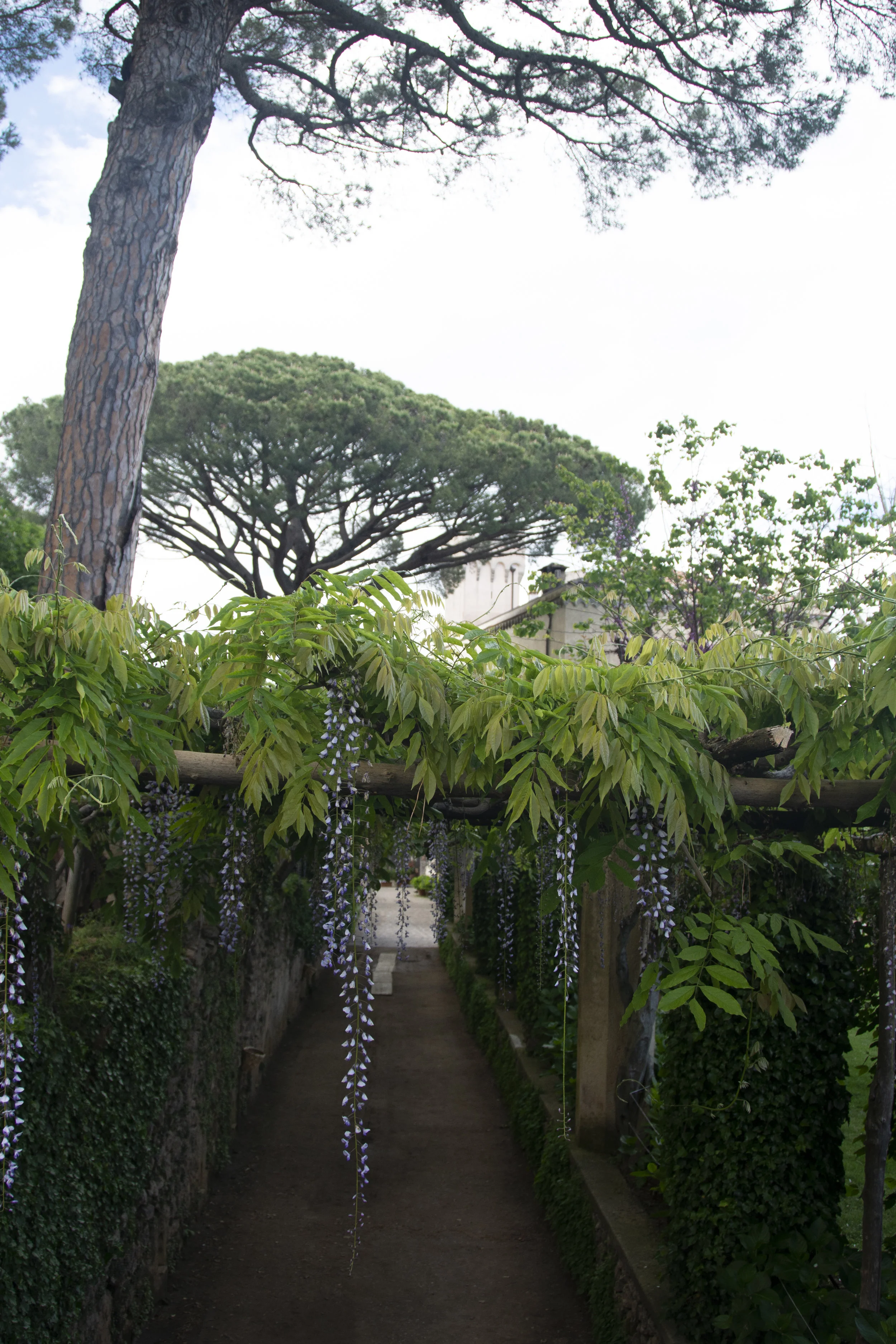 Trailing the allée