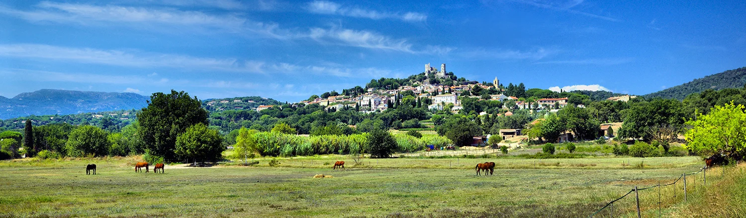 Grimaud panorama Photo by Gilles Perréal