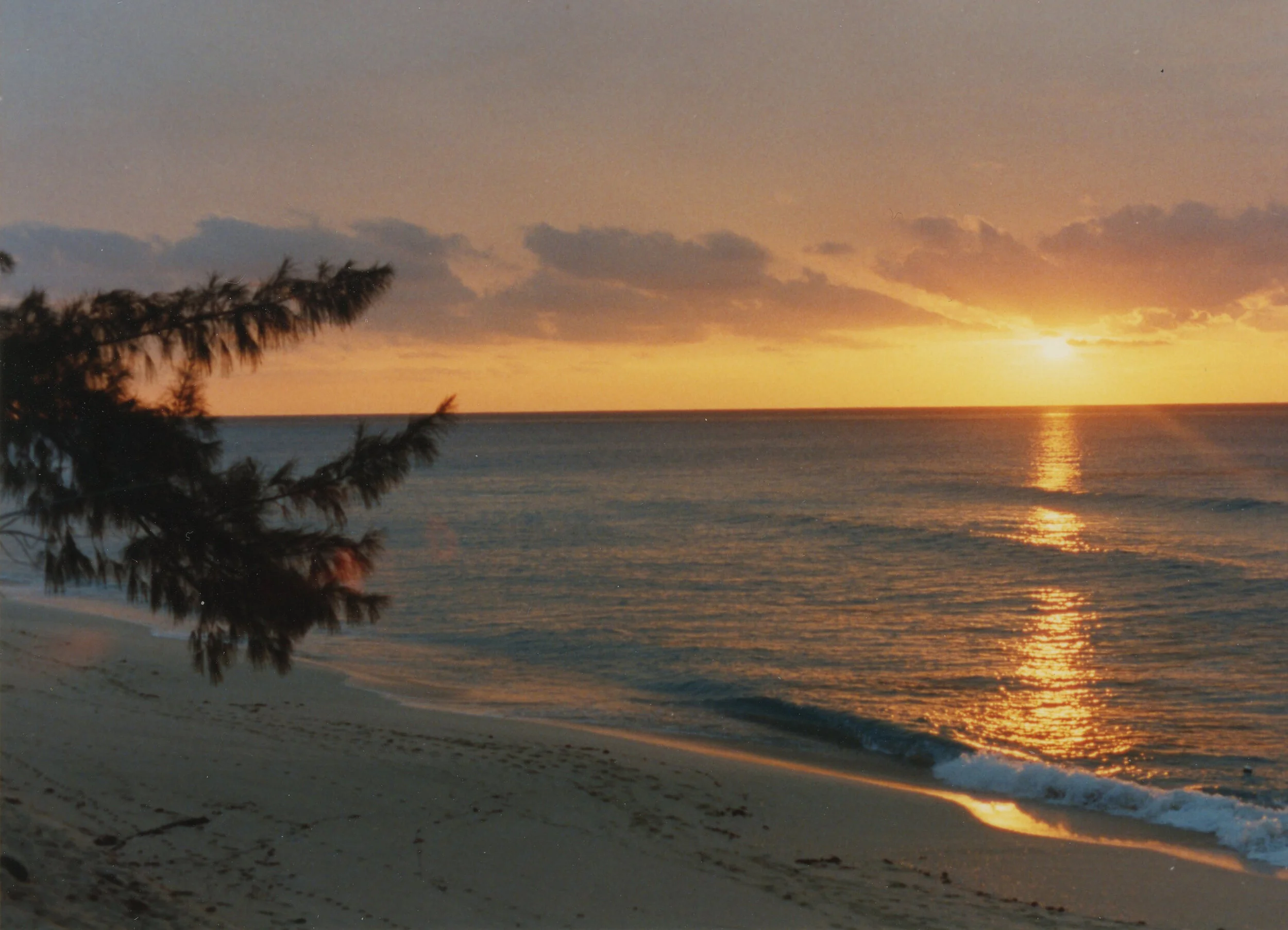 Bimini sunset