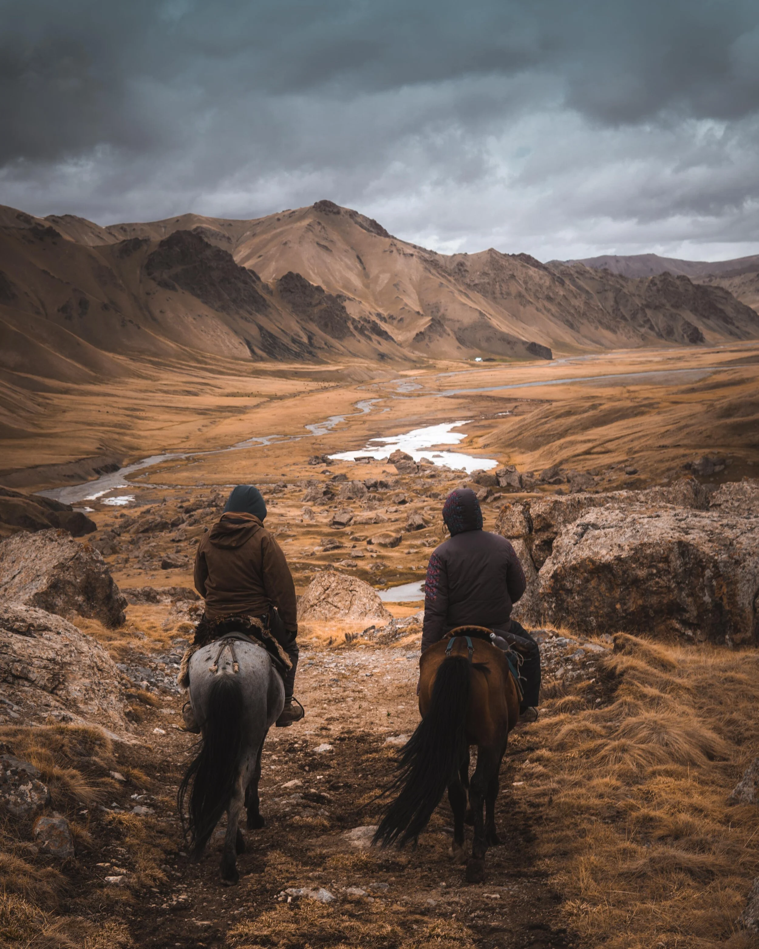 Cultivating the Heart: Presence