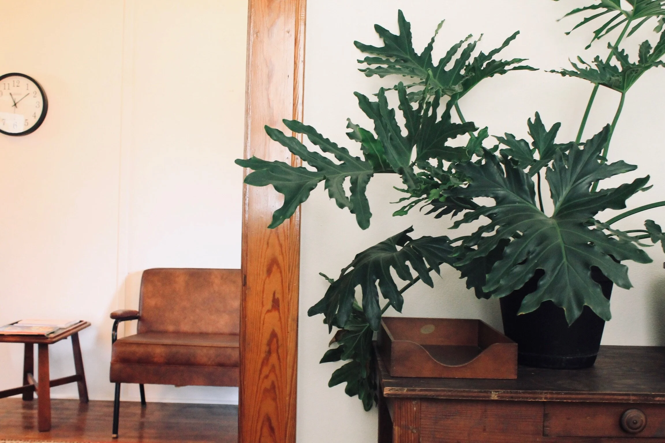 Repentance is Spiritual Medicine