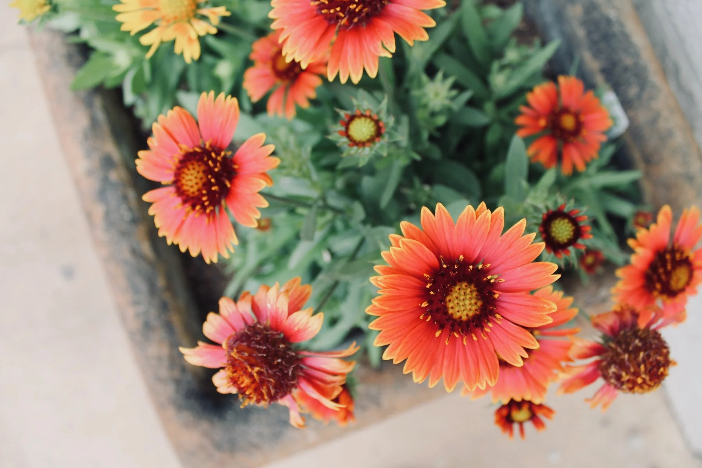 I've Repented... Now What?