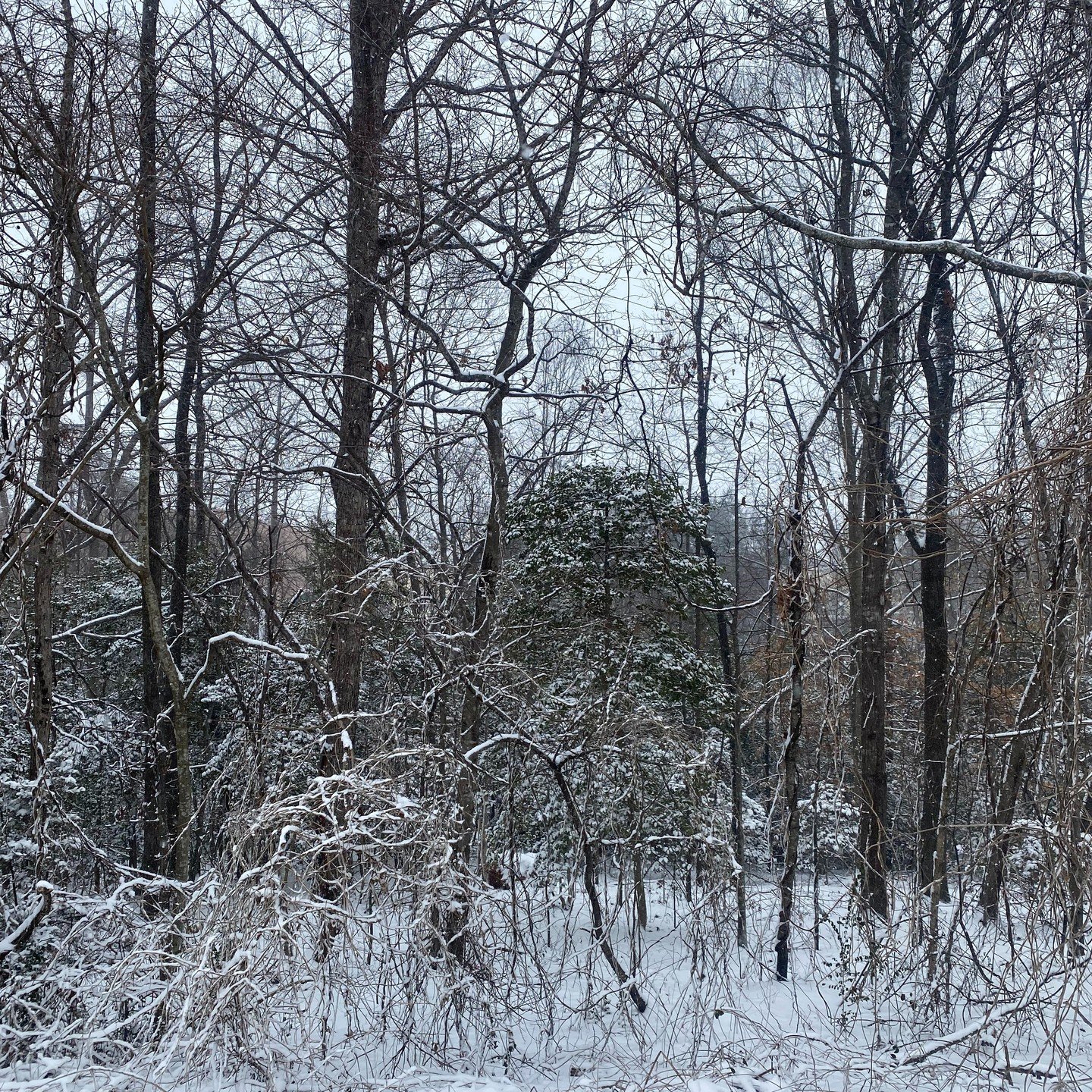 Due to the snow, we are cancelling our service this Sunday, 2/1/26!