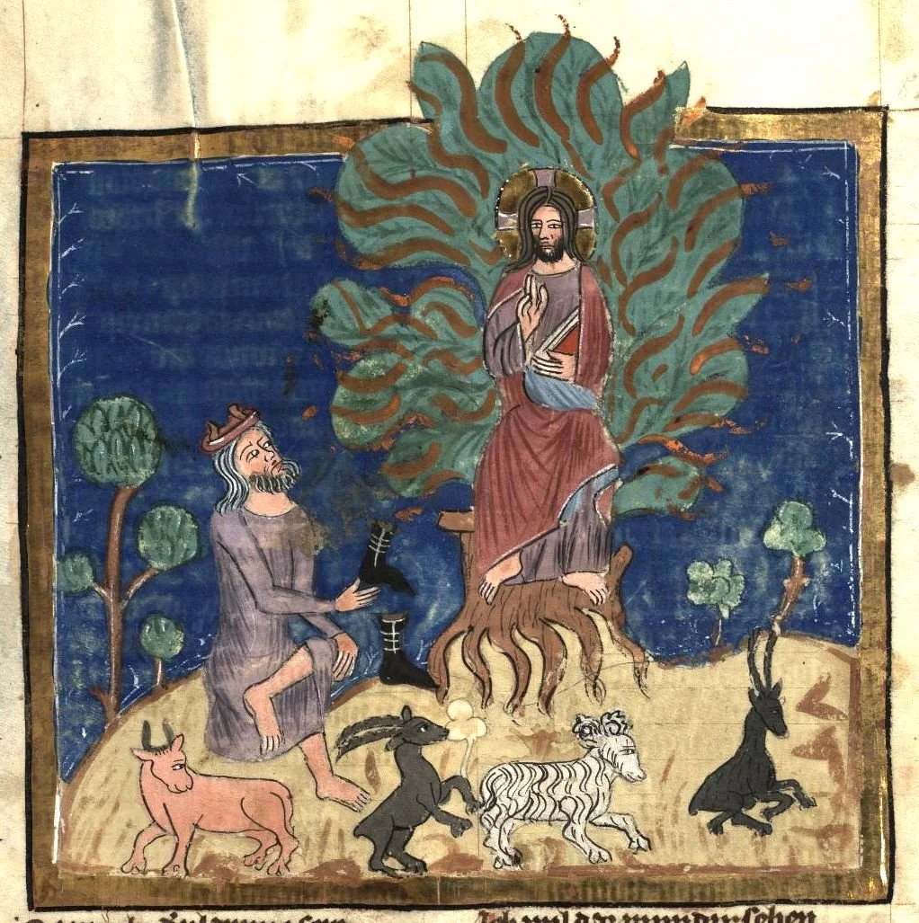 Order of Worship 8.30.26