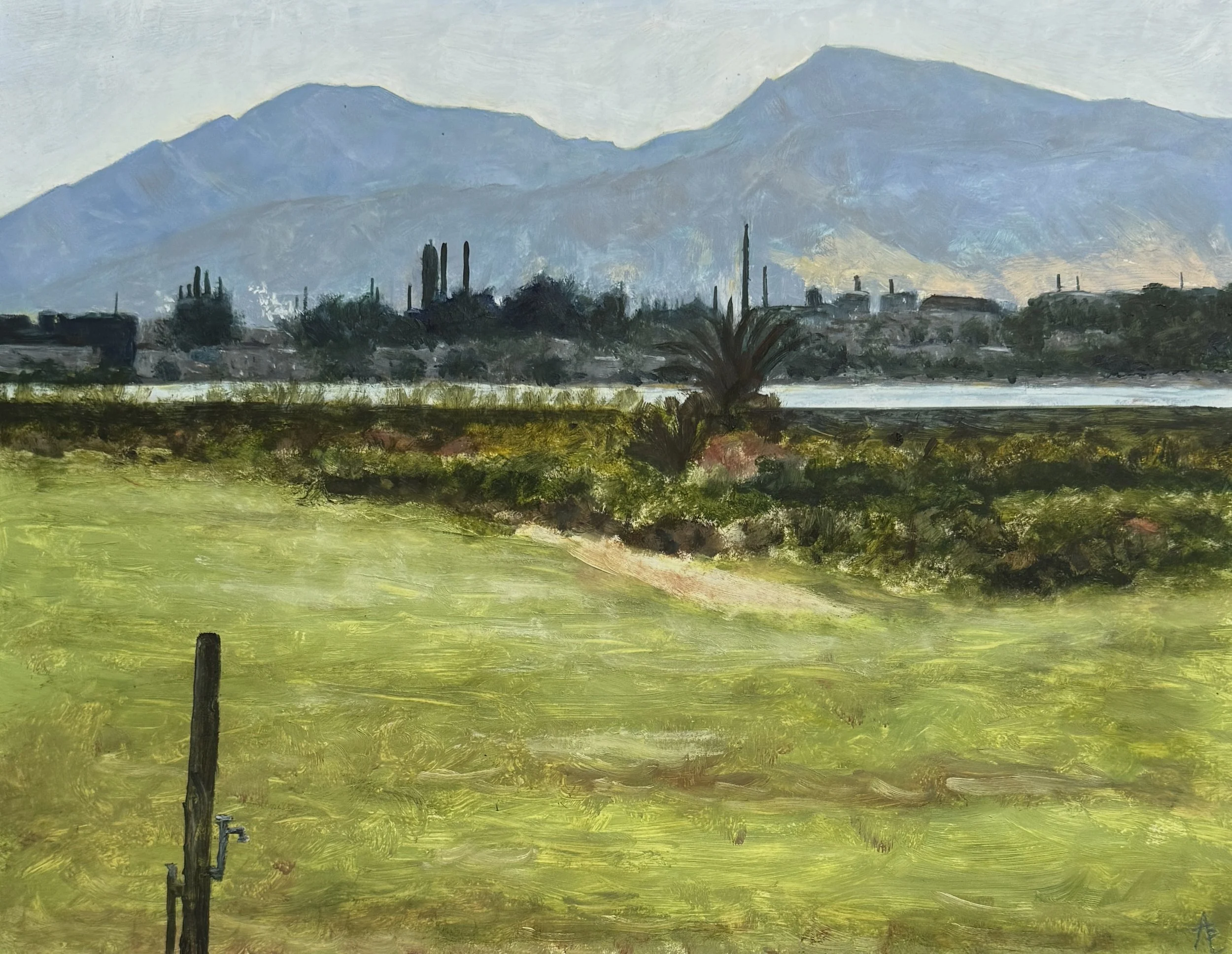 Mt Diablo Across the Greensa.jpg