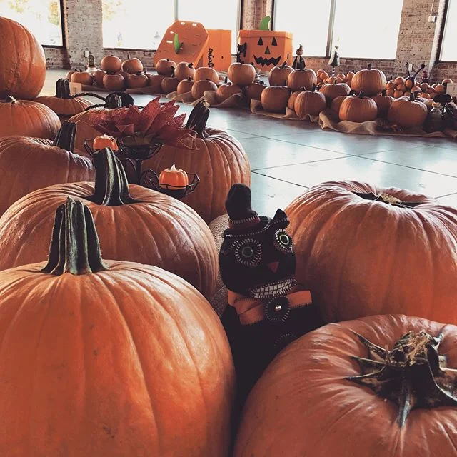 Patchin with the littles 🎃🧡 we are still open and ready for some pumpkin carving fun! Come on by 🤗 #downtownfresno #peerlesspumpkinpatch #fresno #pumpkinpatch