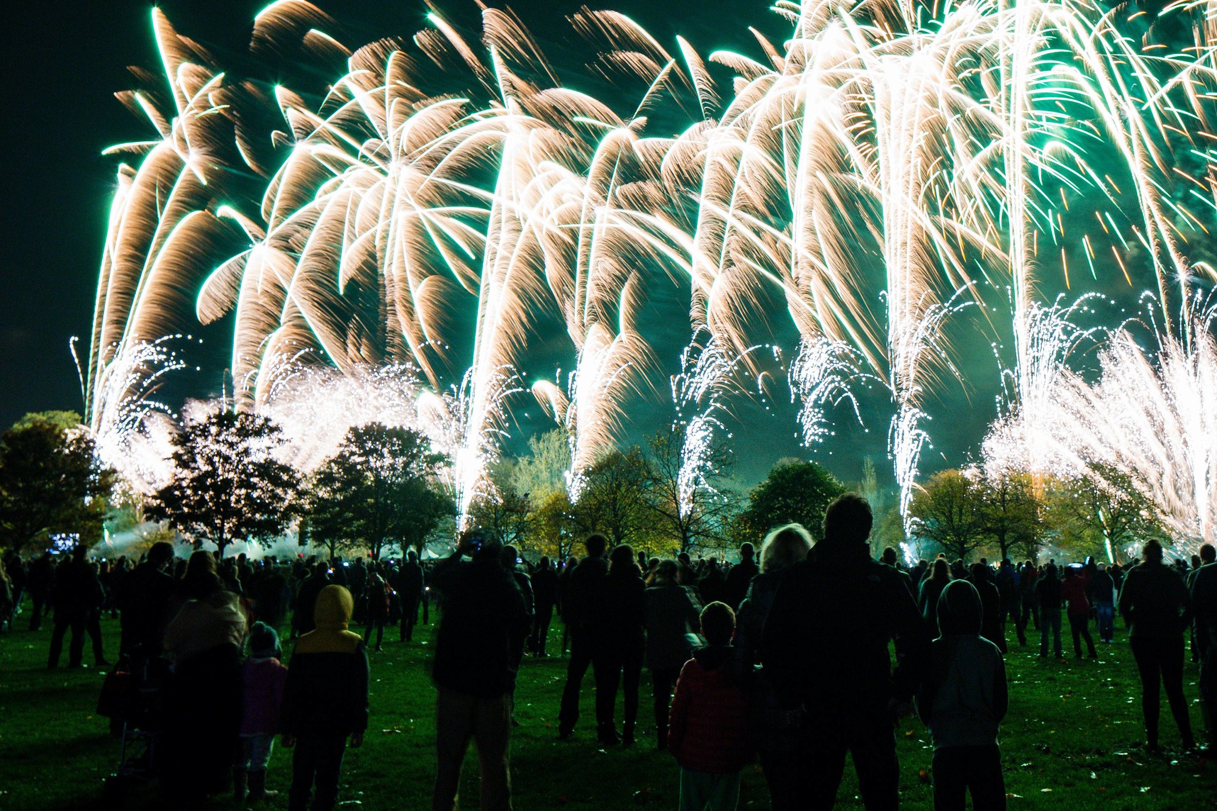 Victoria Park Fireworks