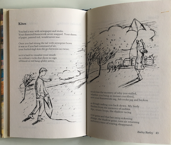 Kites, poem by Barrie Wade in Barley Barley (Oxford University Press) ©irenejuliawise