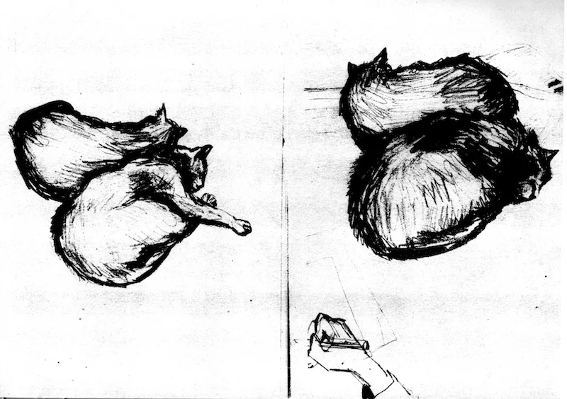 Drawing Cats ©irenejuliawise
