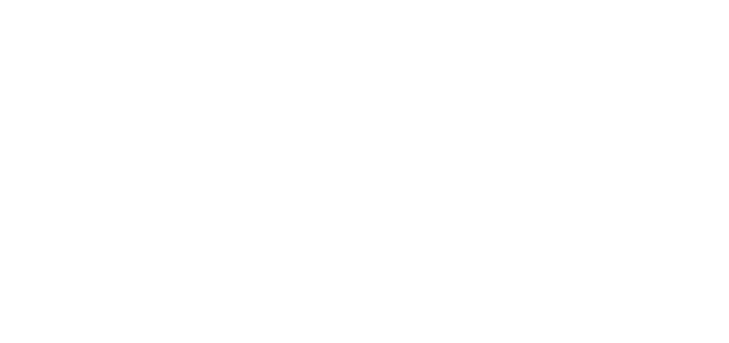 Amira Belly Dance - Belly Dancing Teacher and Blogger in Olympia & Seattle, Washington