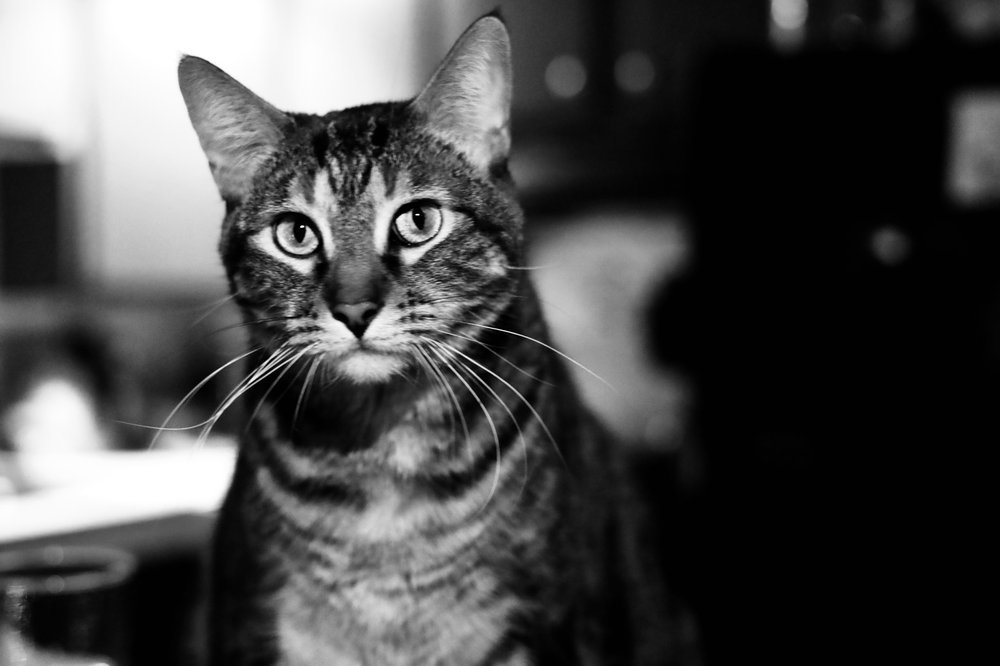 IMG_0031.jpeg