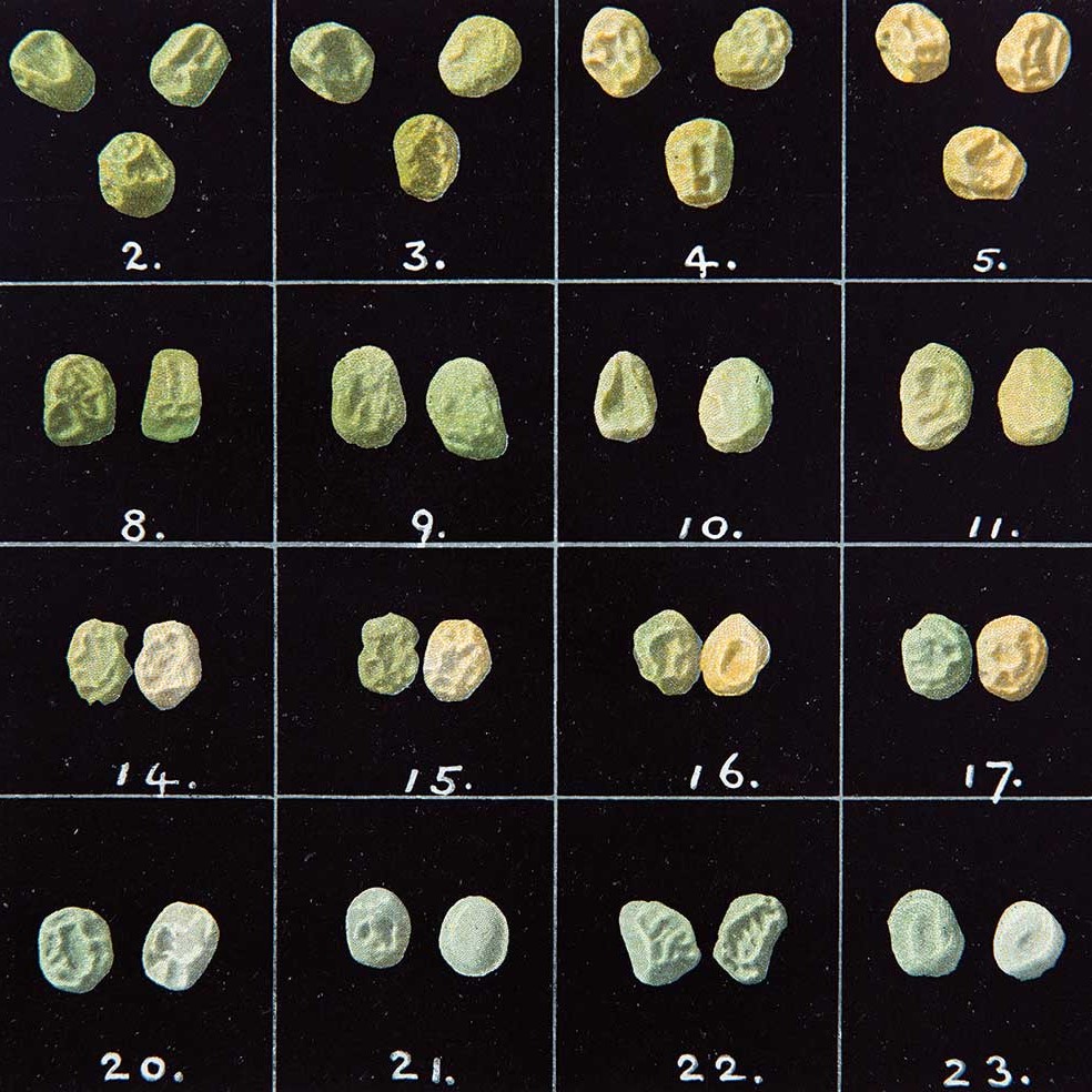 005 - Vegetable soup