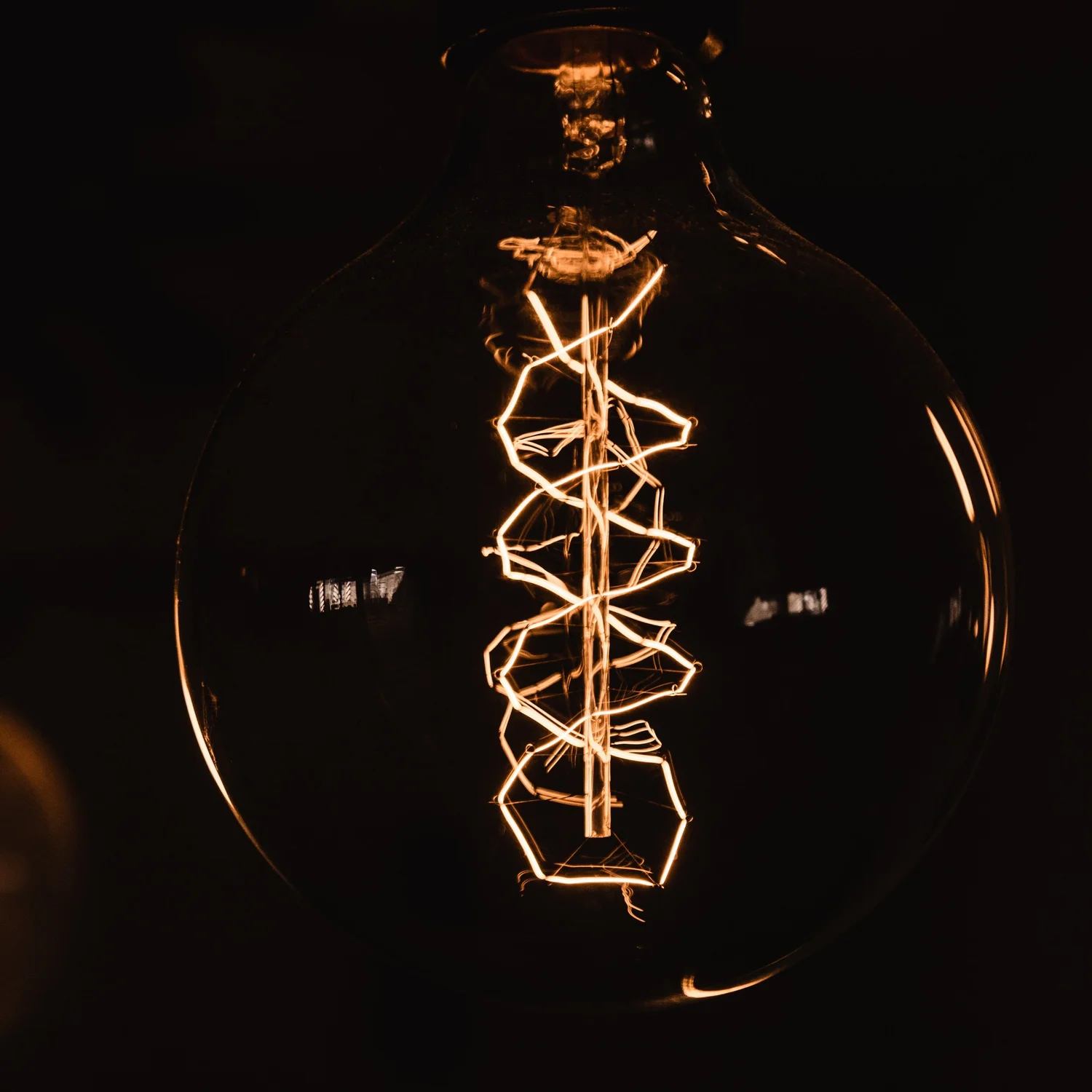 012 - Strands of Life