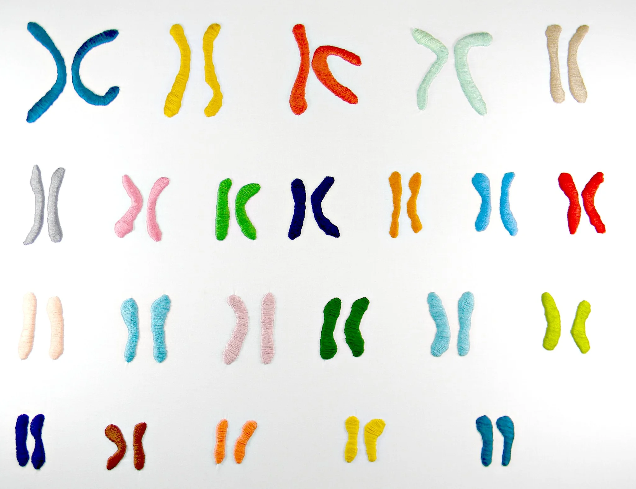 Female Karyotype 2014 Hey Paul Studios CC BY 2.0.jpg