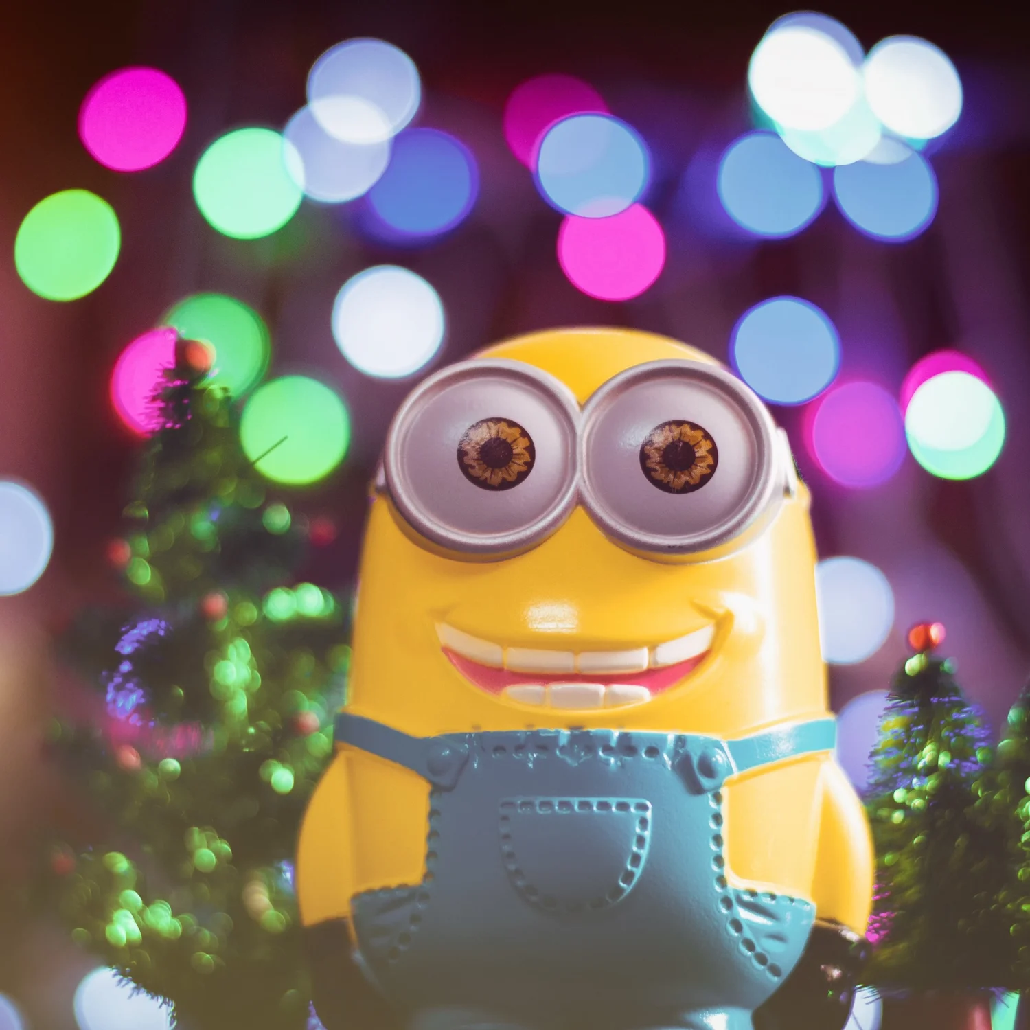 014 The Seeds of a Great Idea