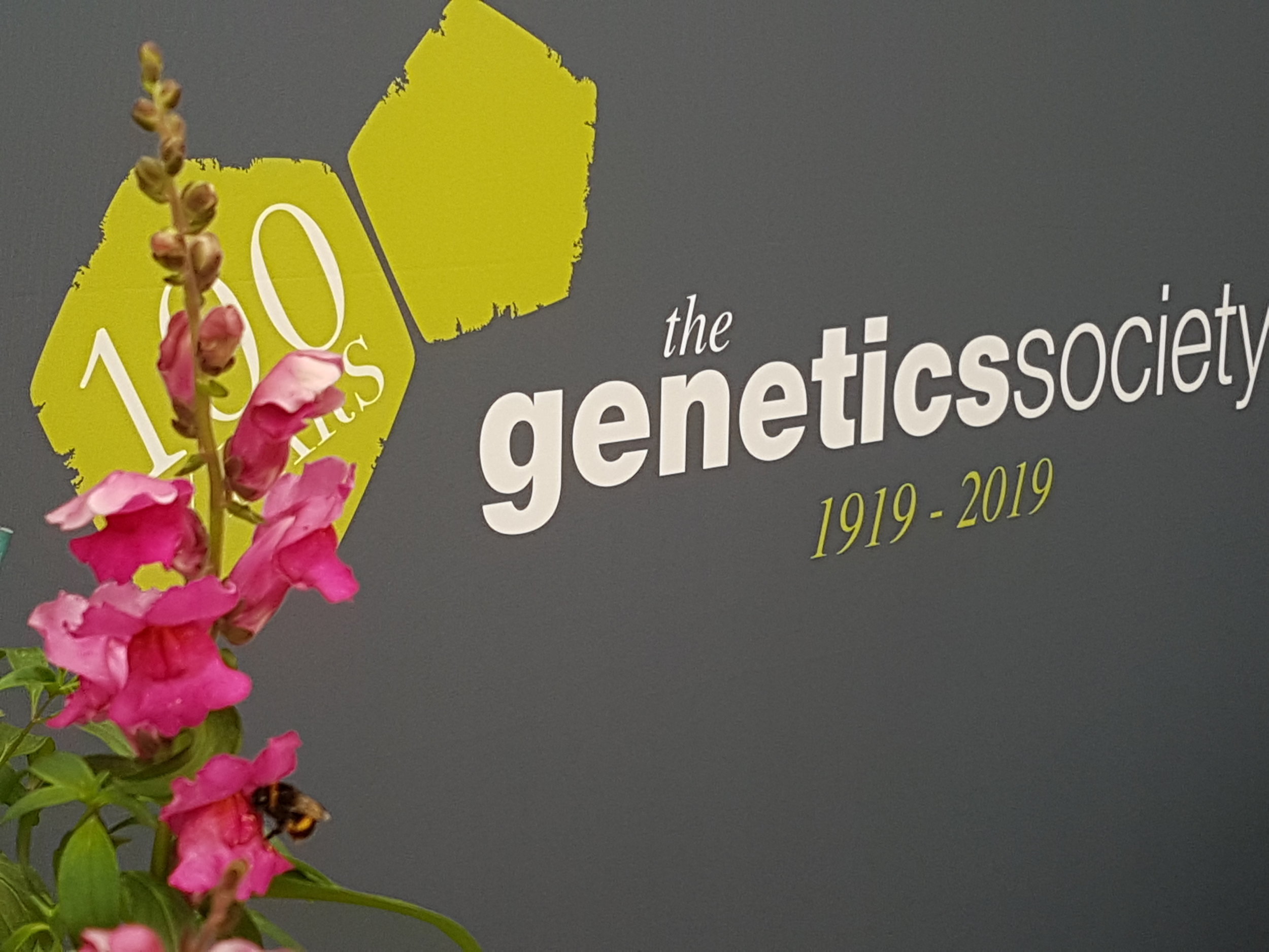 Celebrating the Genetics Society's centenary year