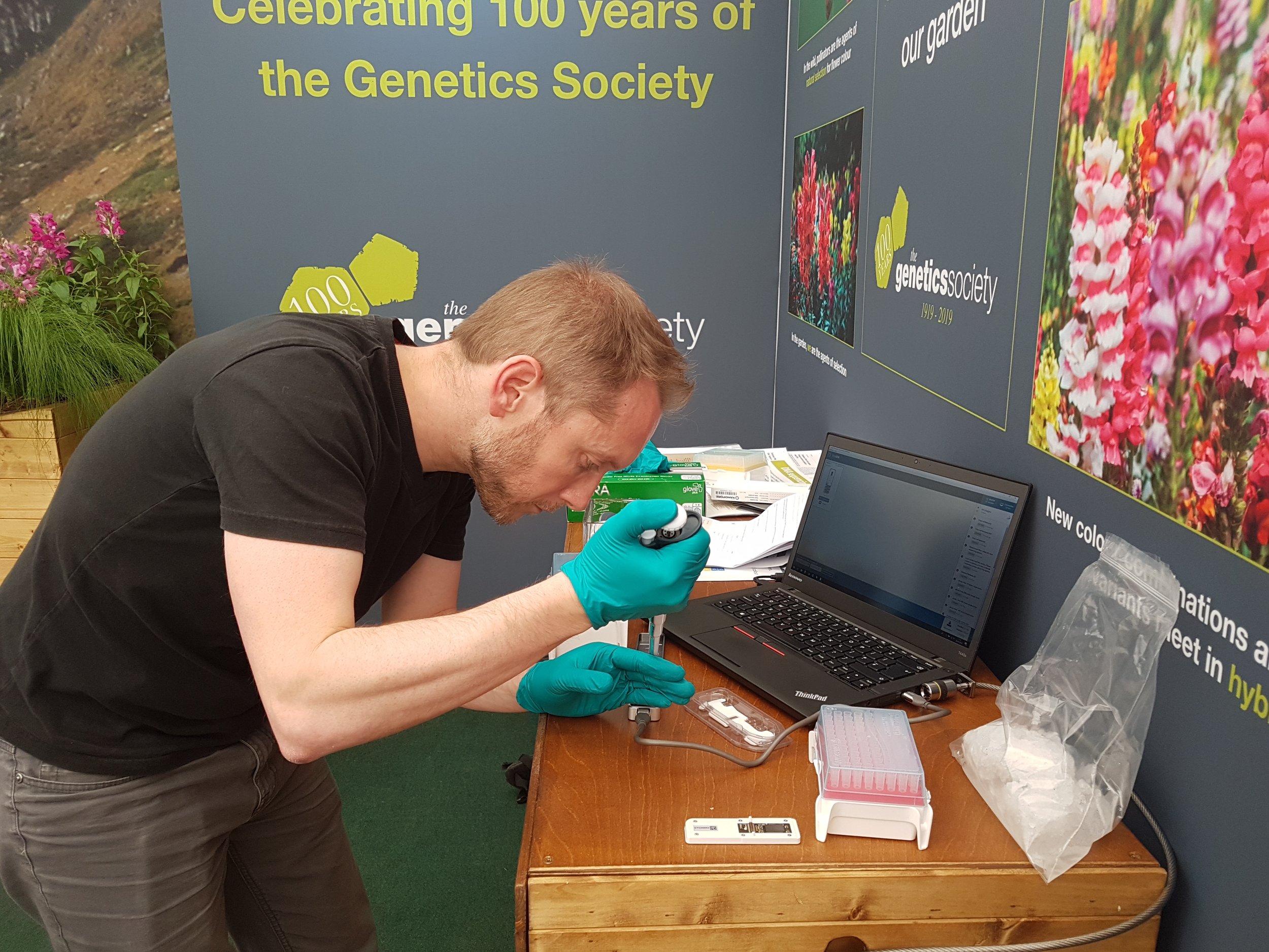 Sequencing snapdragons