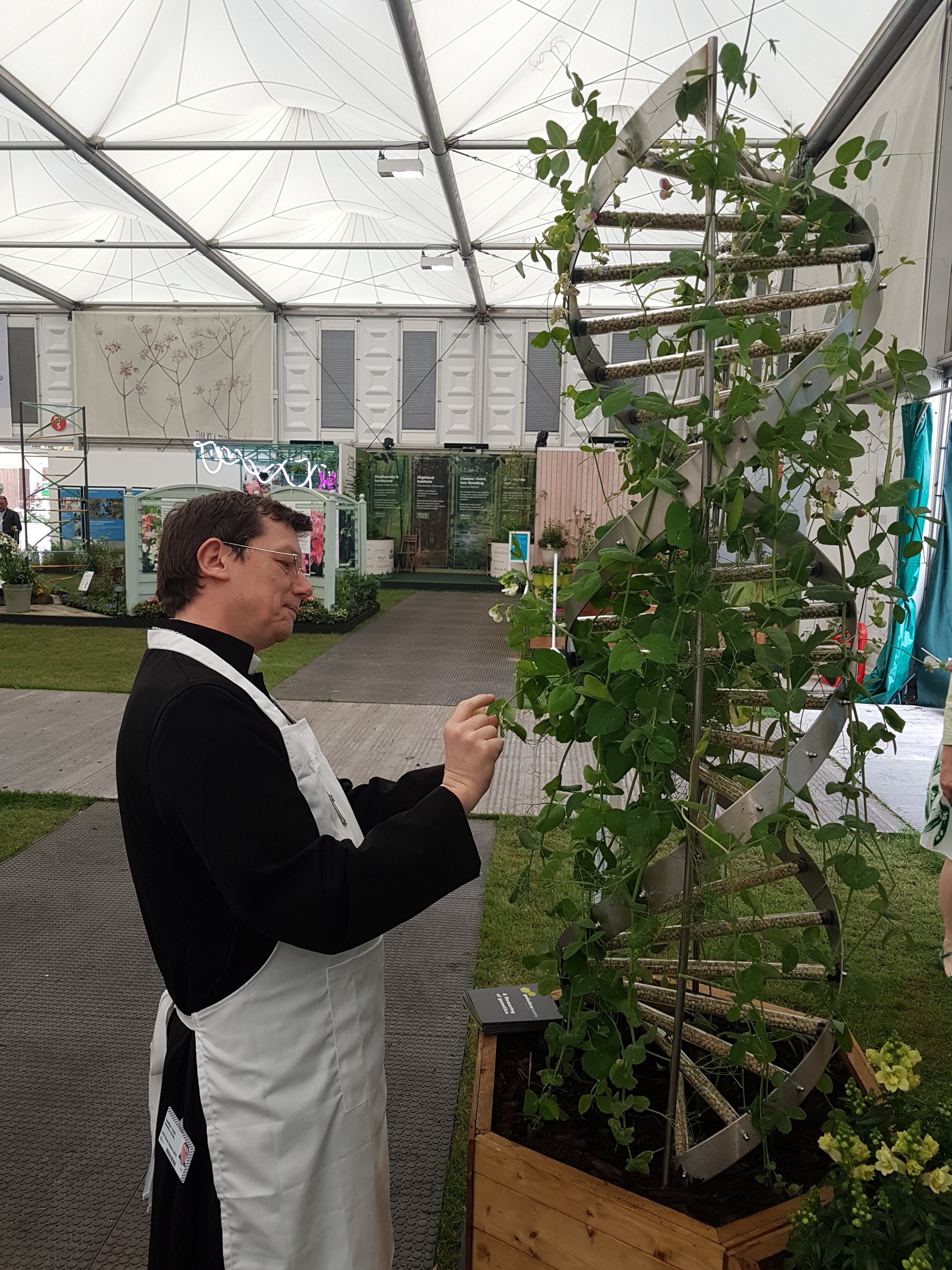 Mendel and his peas