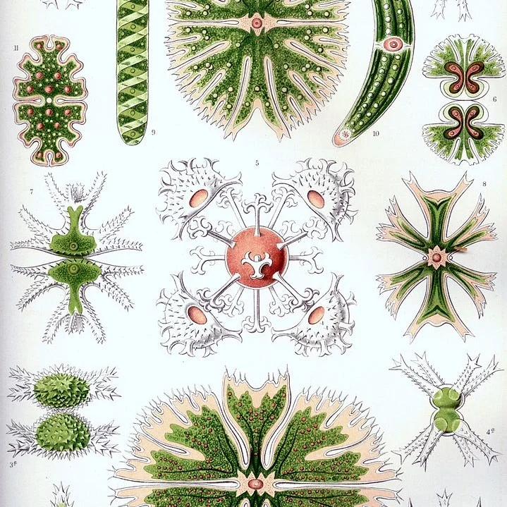 023 Mergers and Acquisitions