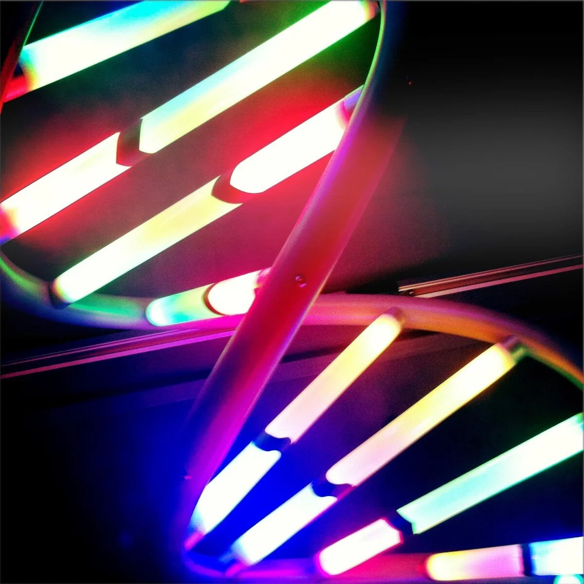 genetics unzipped