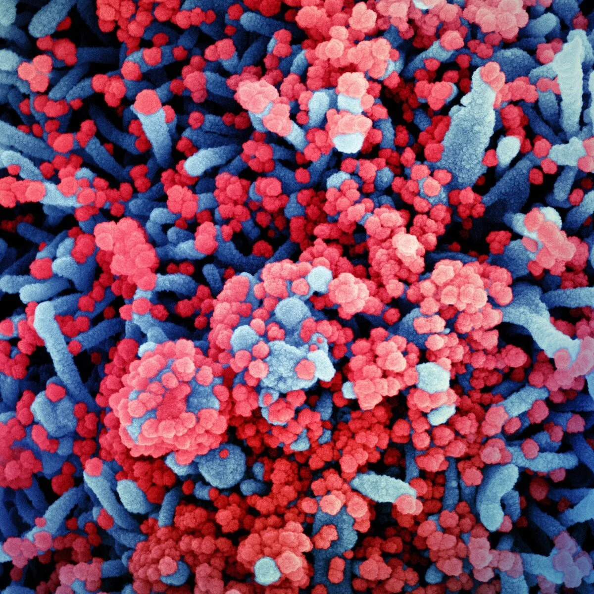 S3.16 Sickness and susceptibility: The ancient war between genes and disease
