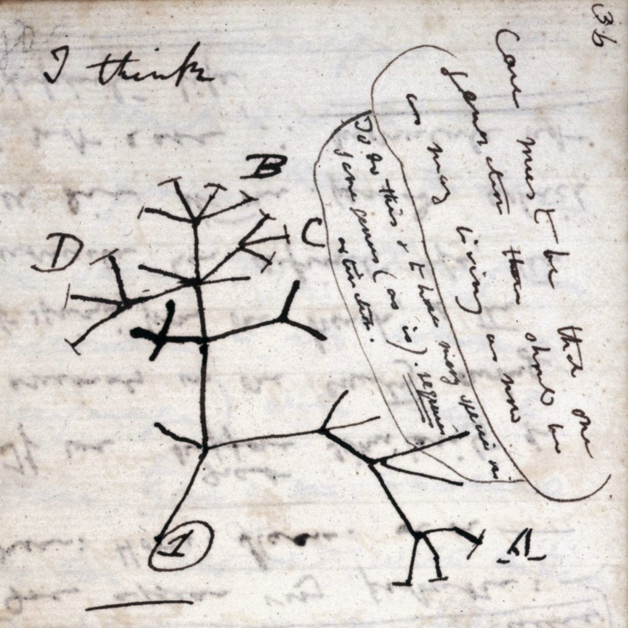 S3.25 *Repost* Uprooting the tree of life: Darwin, DNA and de-extinction