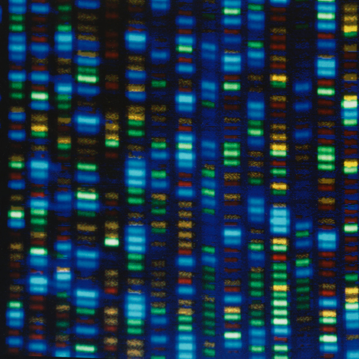 S4.19 Reading the book of life: A brief history of DNA sequencing