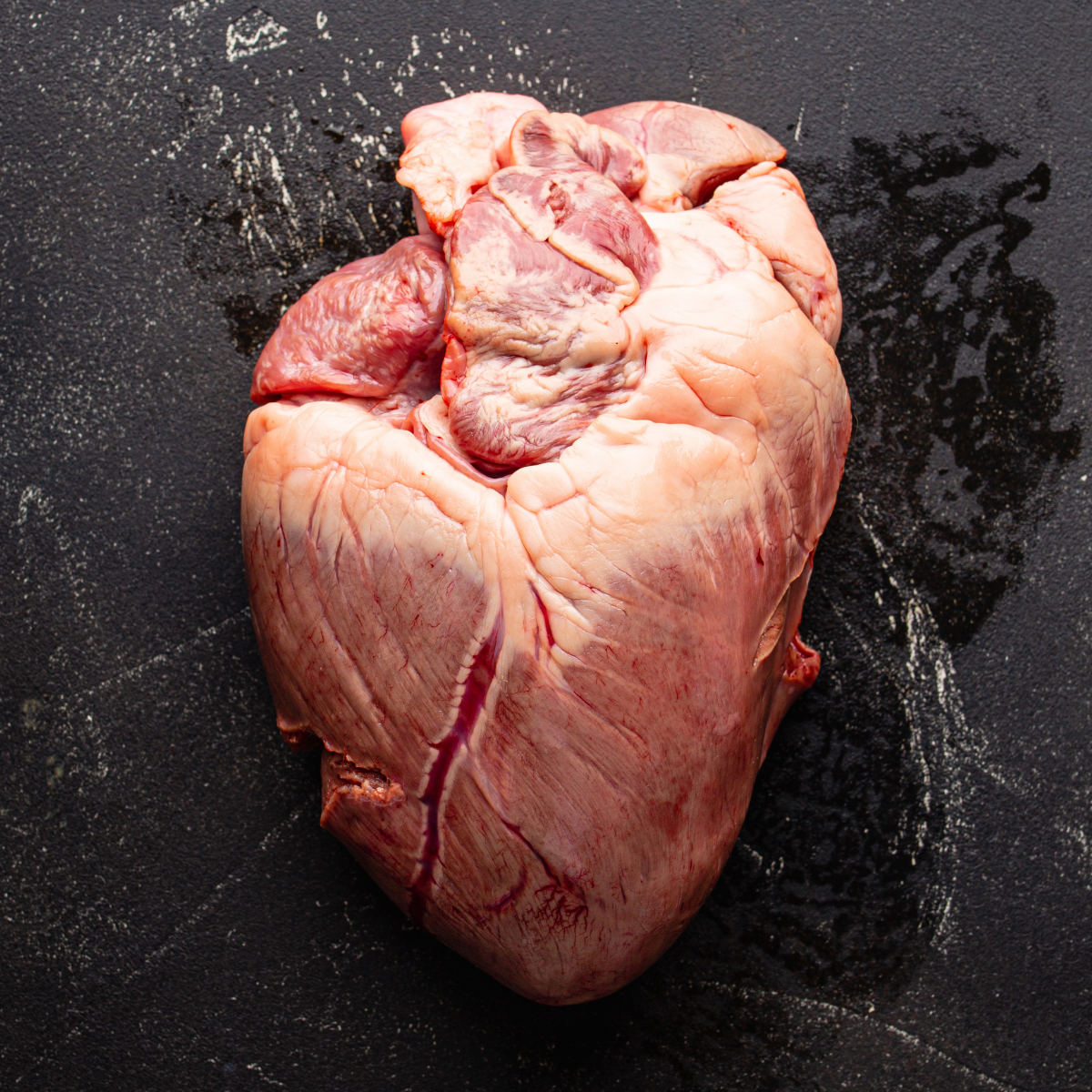 S5.08 Have a heart: the science of xenotransplantation