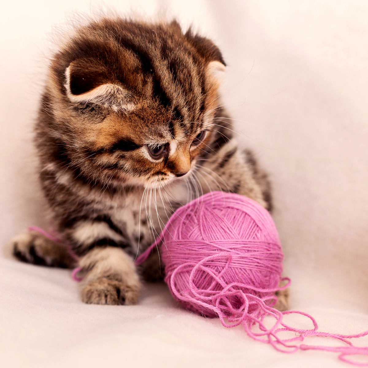 *Repost* Strands of life