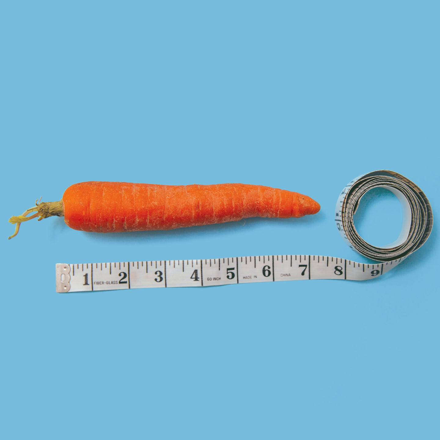 S5.15 Does size matter when it comes to your genes?