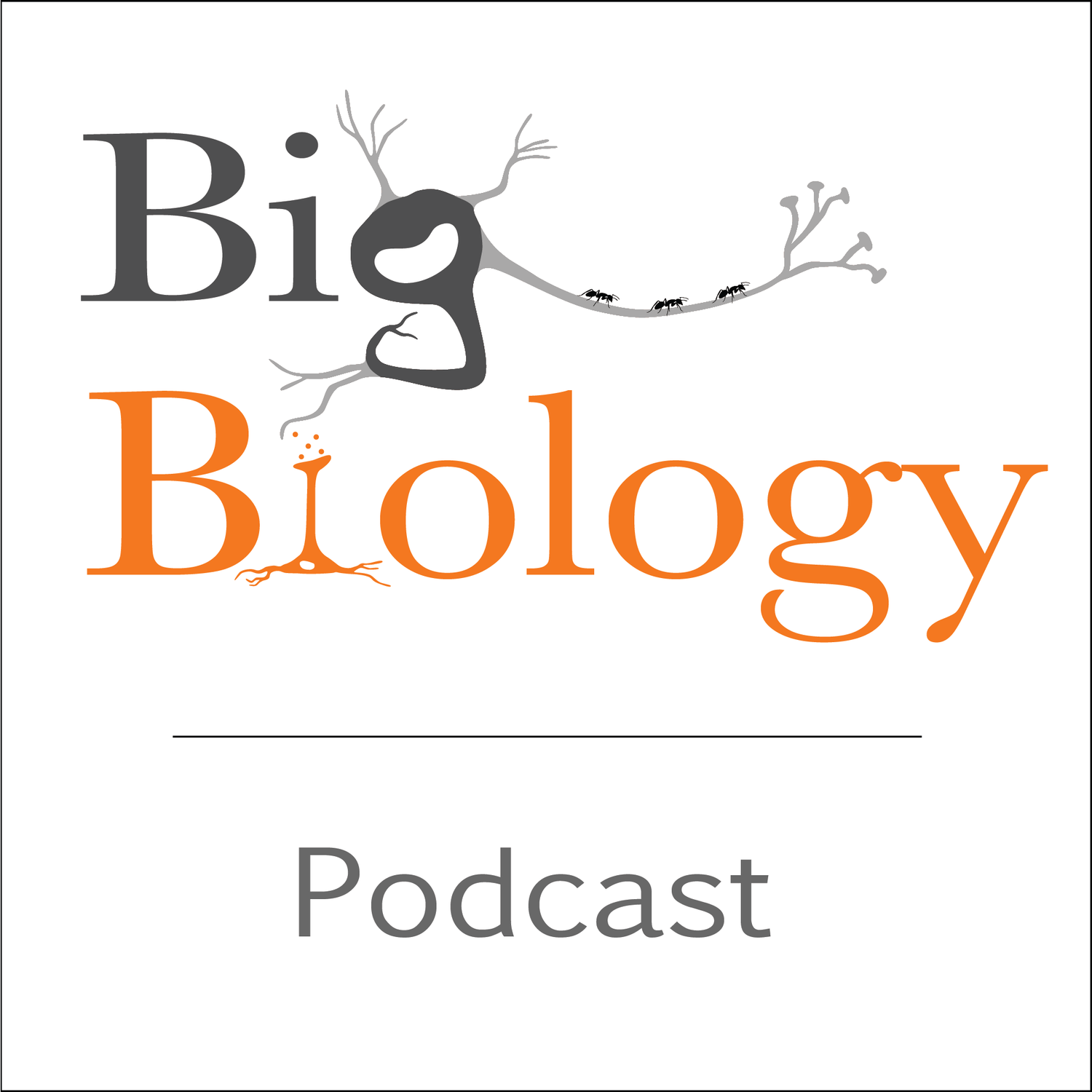 BONUS! Big Biology: food for thought - plant domestication and the promise of green super rice