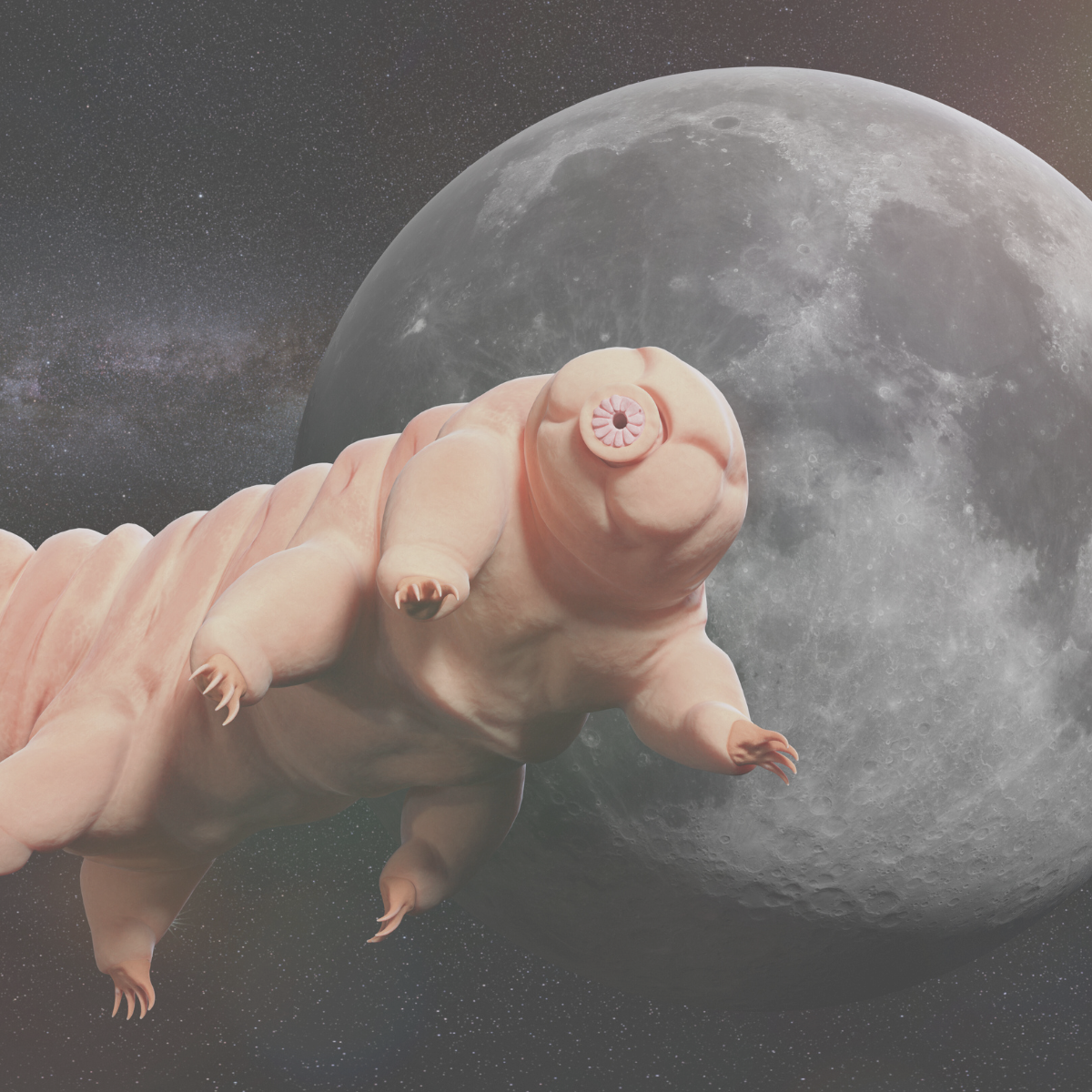 S6.10: Space invaders: The amazing adaptations of tardigrades