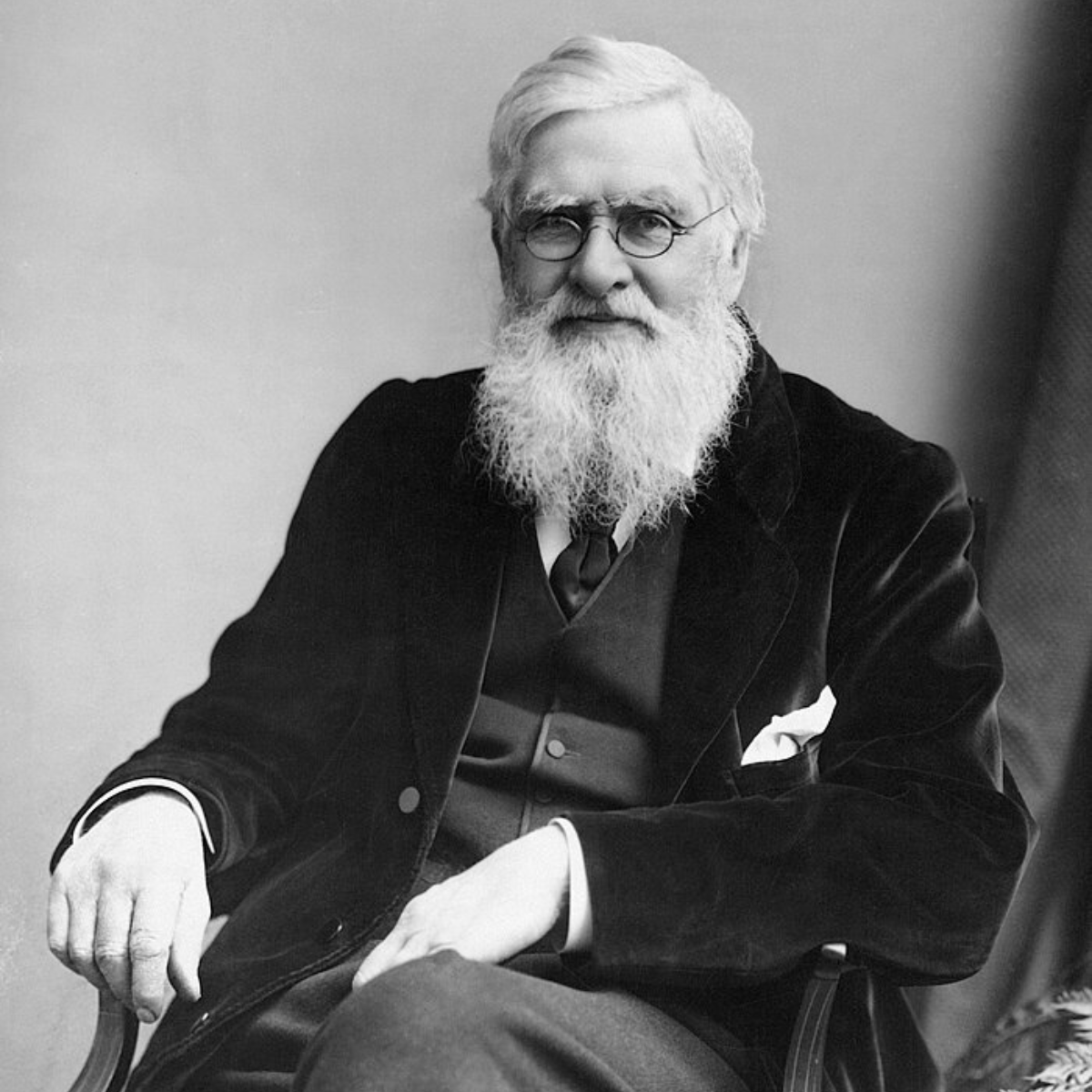 S6.18: An Evolutionary Revolutionary: Alfred Russel Wallace and the discovery of natural selection