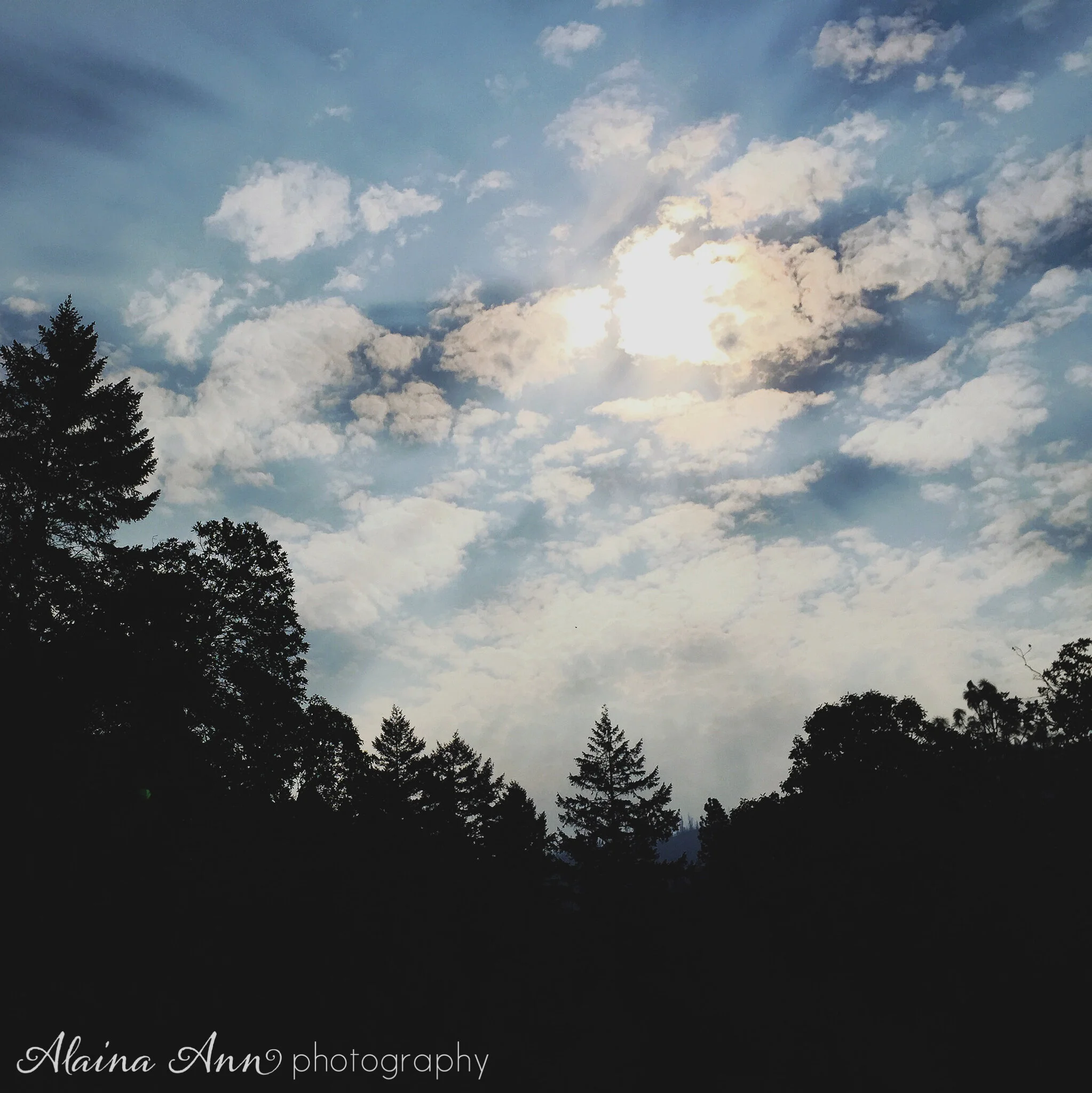 Travel | Shasta-Trinity National Forest