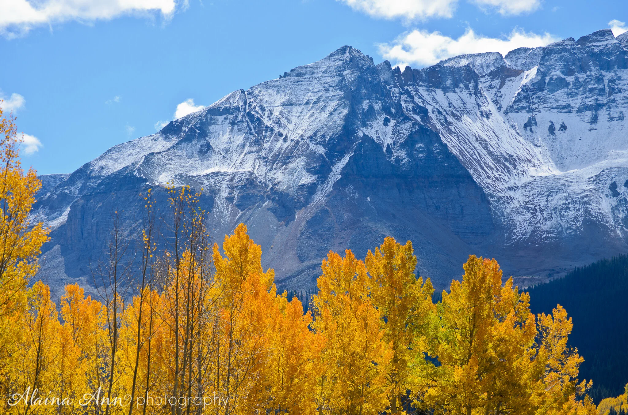 Bald Mountain Horizontal.jpg