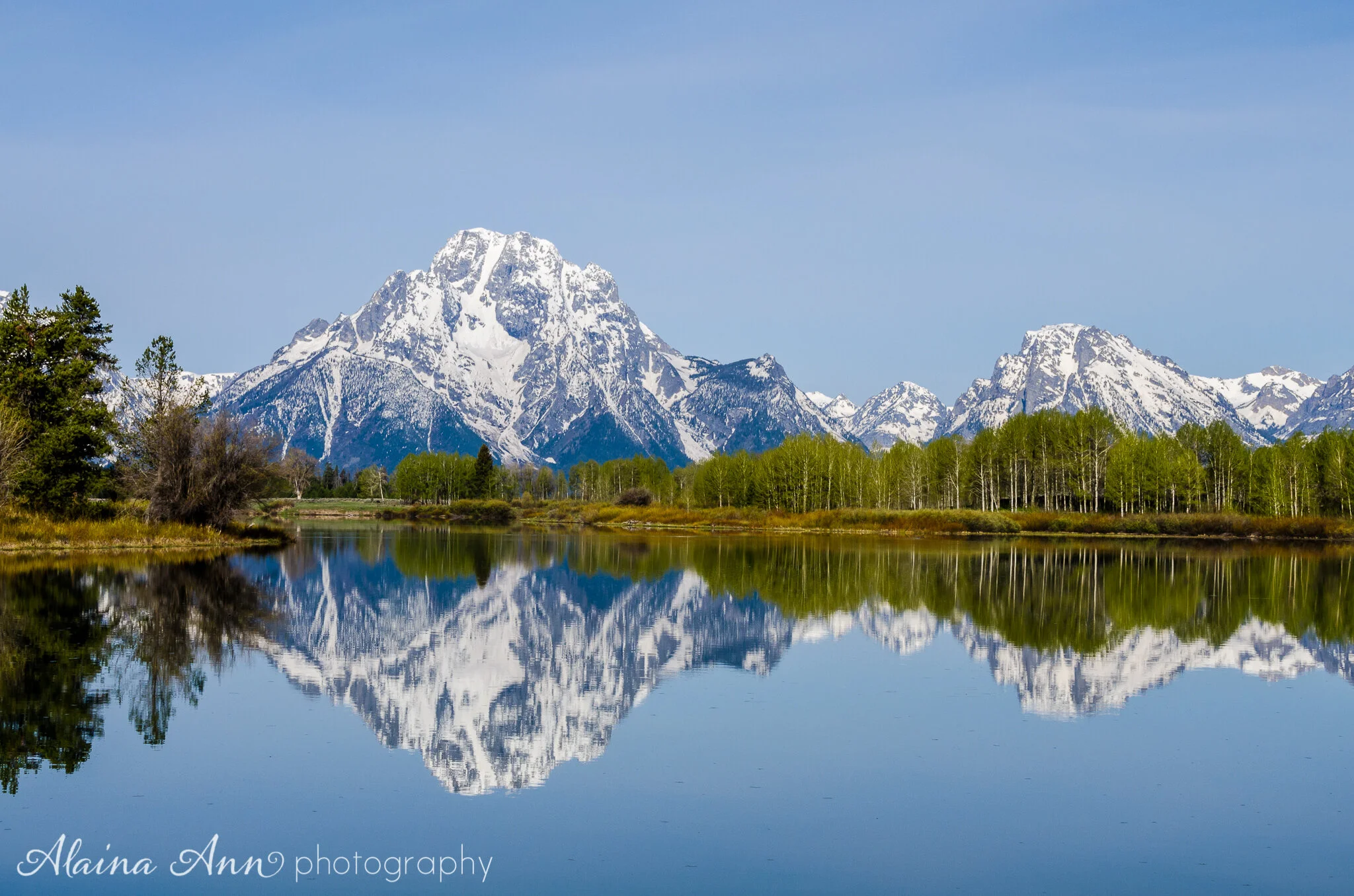 Grand Teton Spring Reflection
