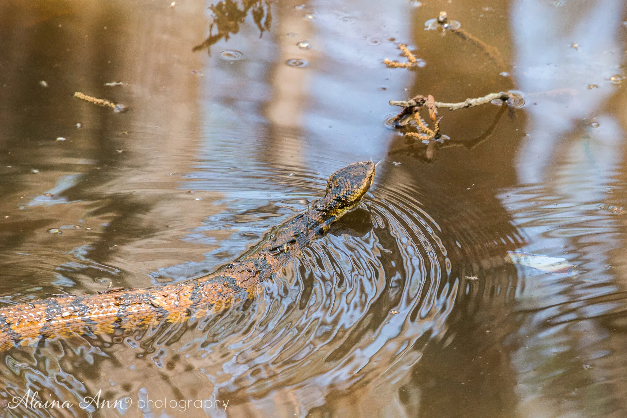 Congaree National Park