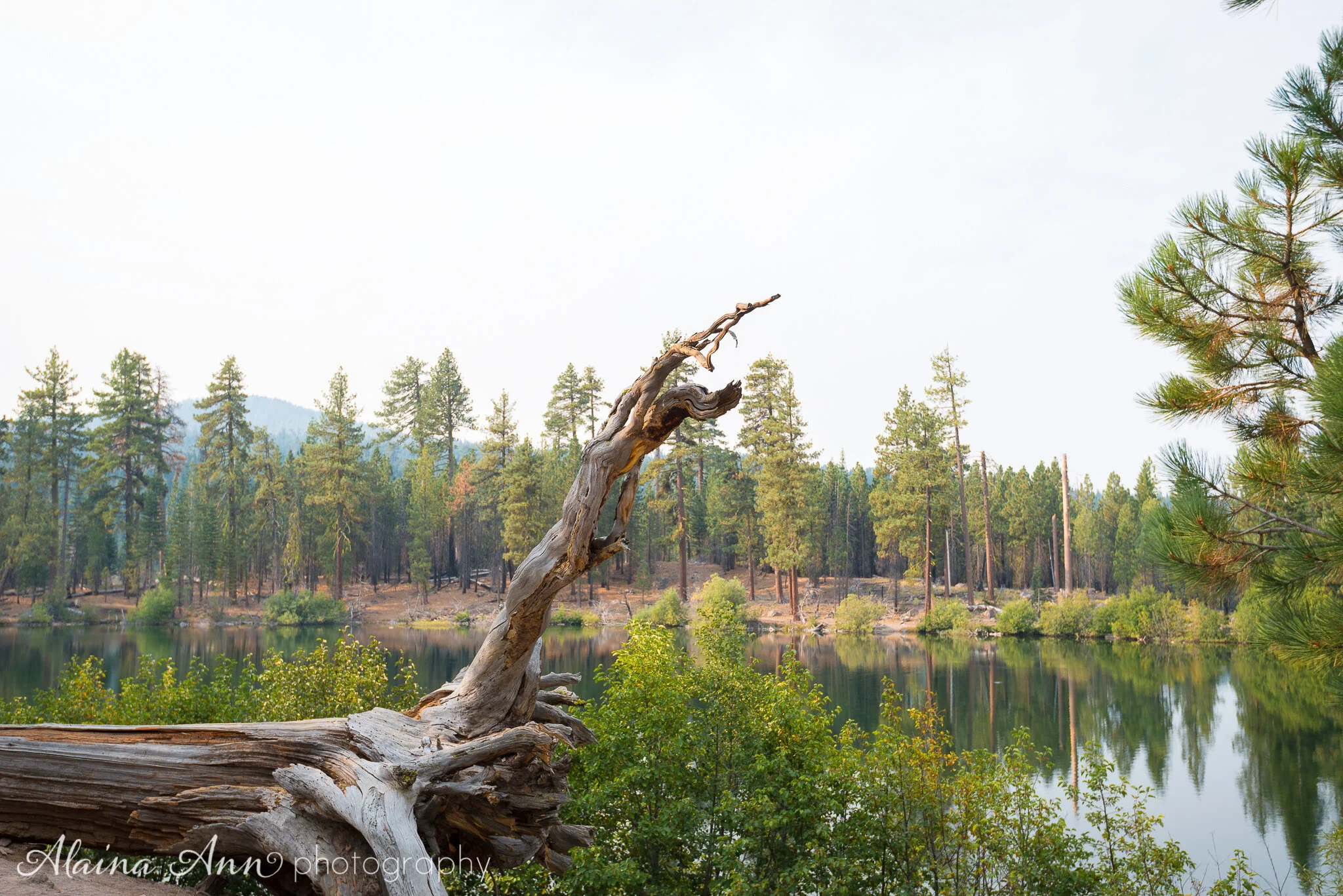 Travel | Lassen Volcanic National Park