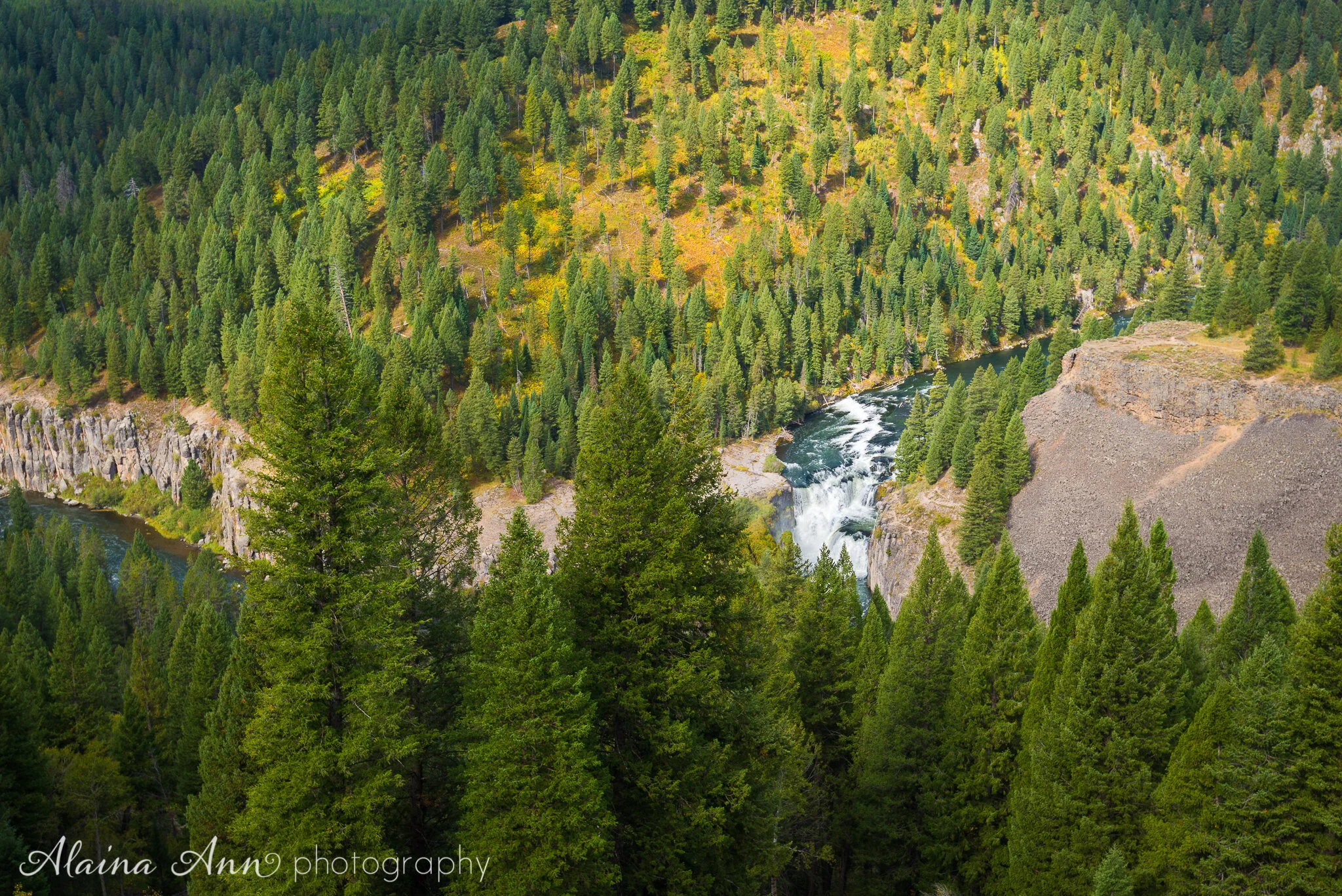 Caribou-Targhee National Forest